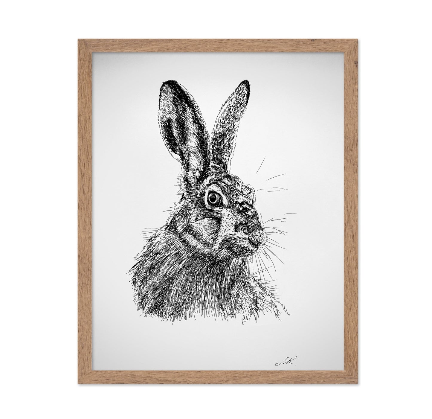 Detailed Hare Sketch