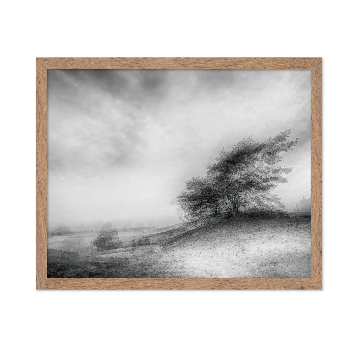 Windswept Heath Trees