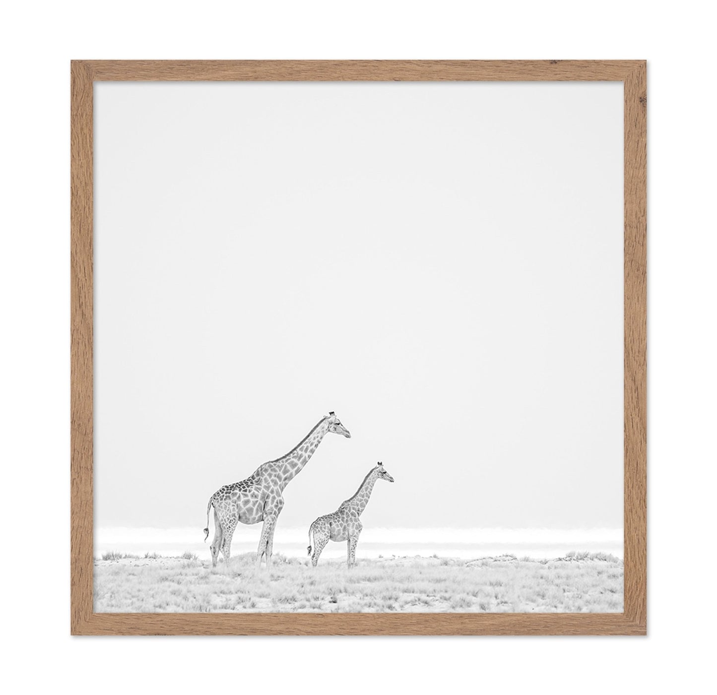 Giraffe Pair