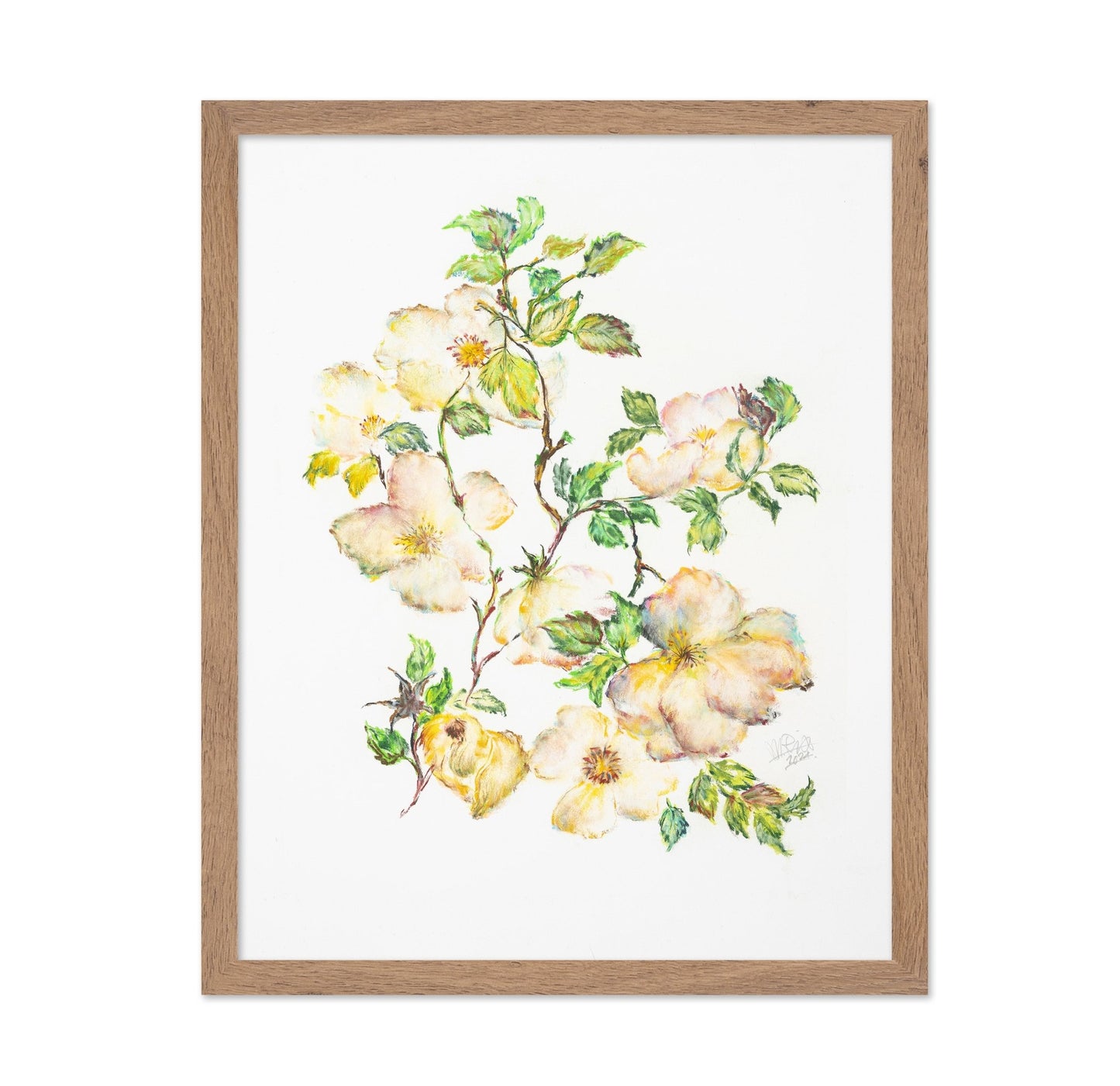 Wild Rose Bloom