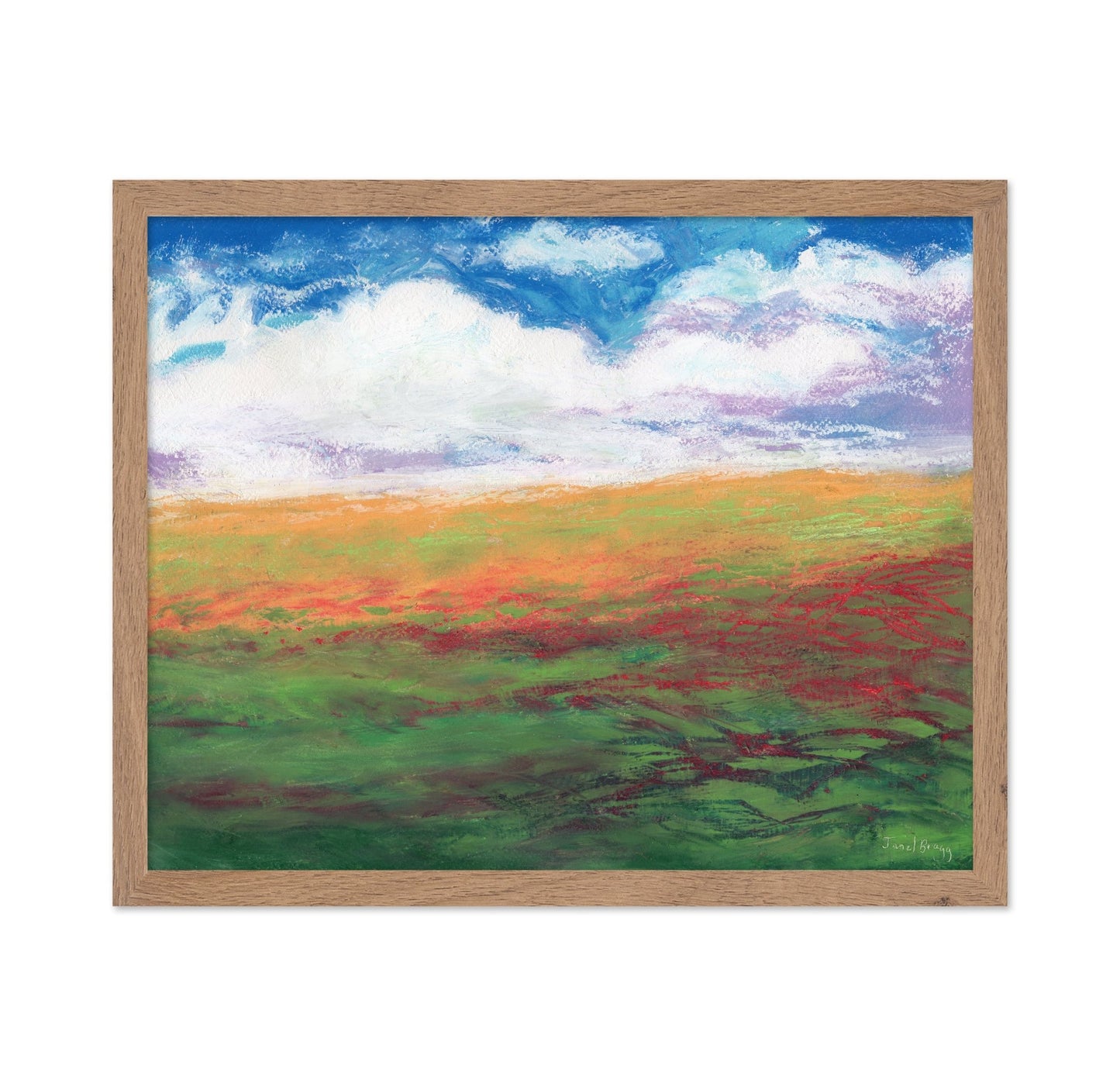 Colorful Flower Fields No2