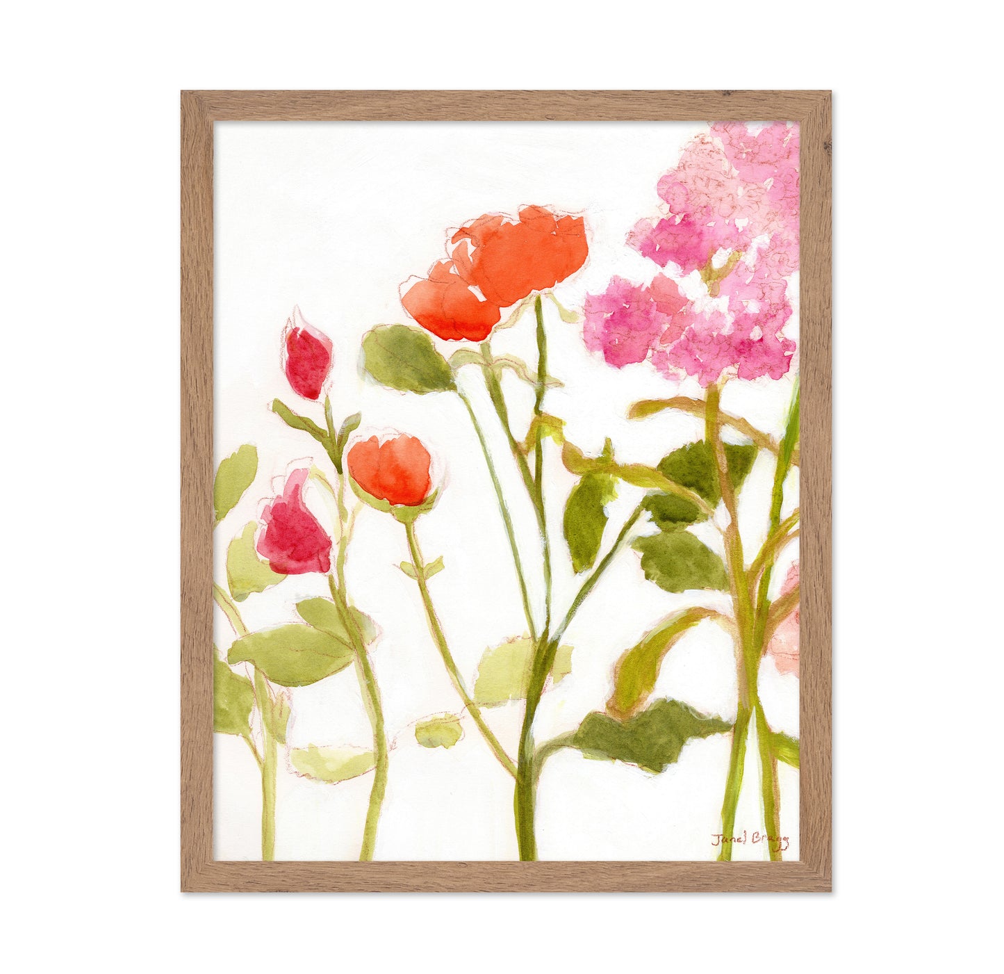 Orange Pink Roses