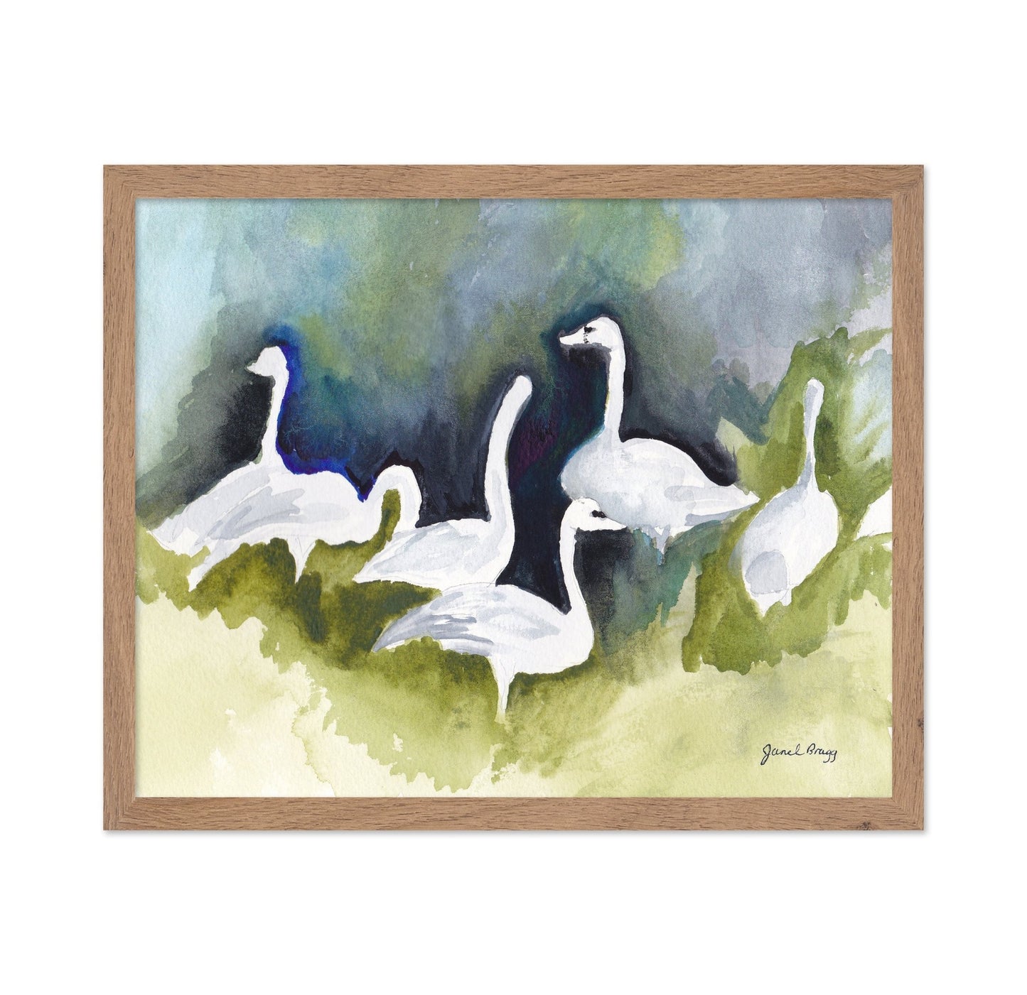 Skagit Swans