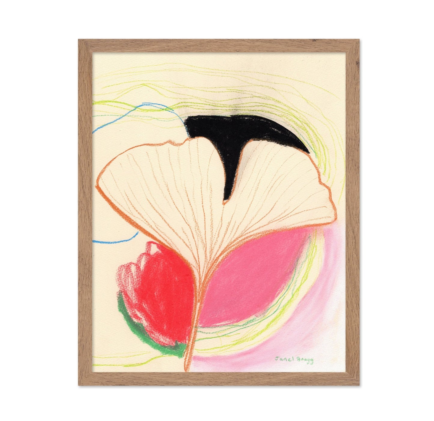 Ginkgo Leaf Study
