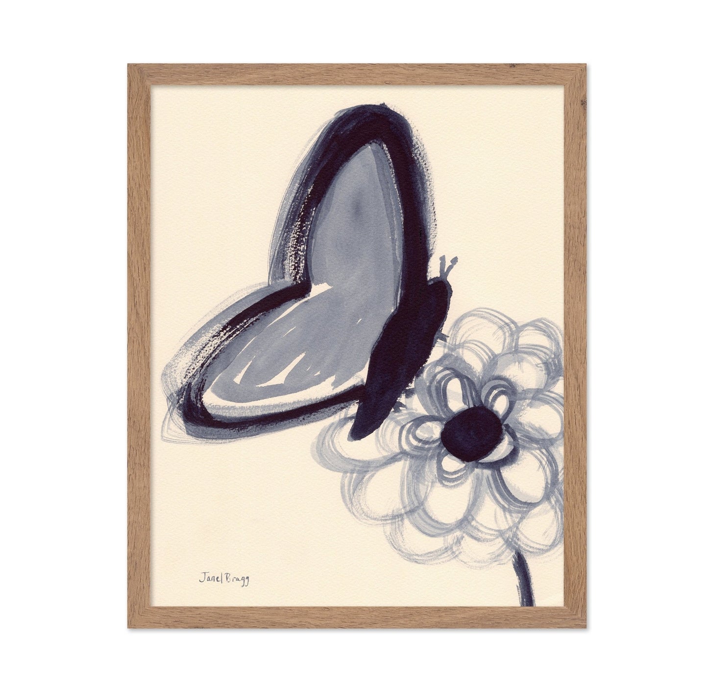 Indigo Butterfly Study