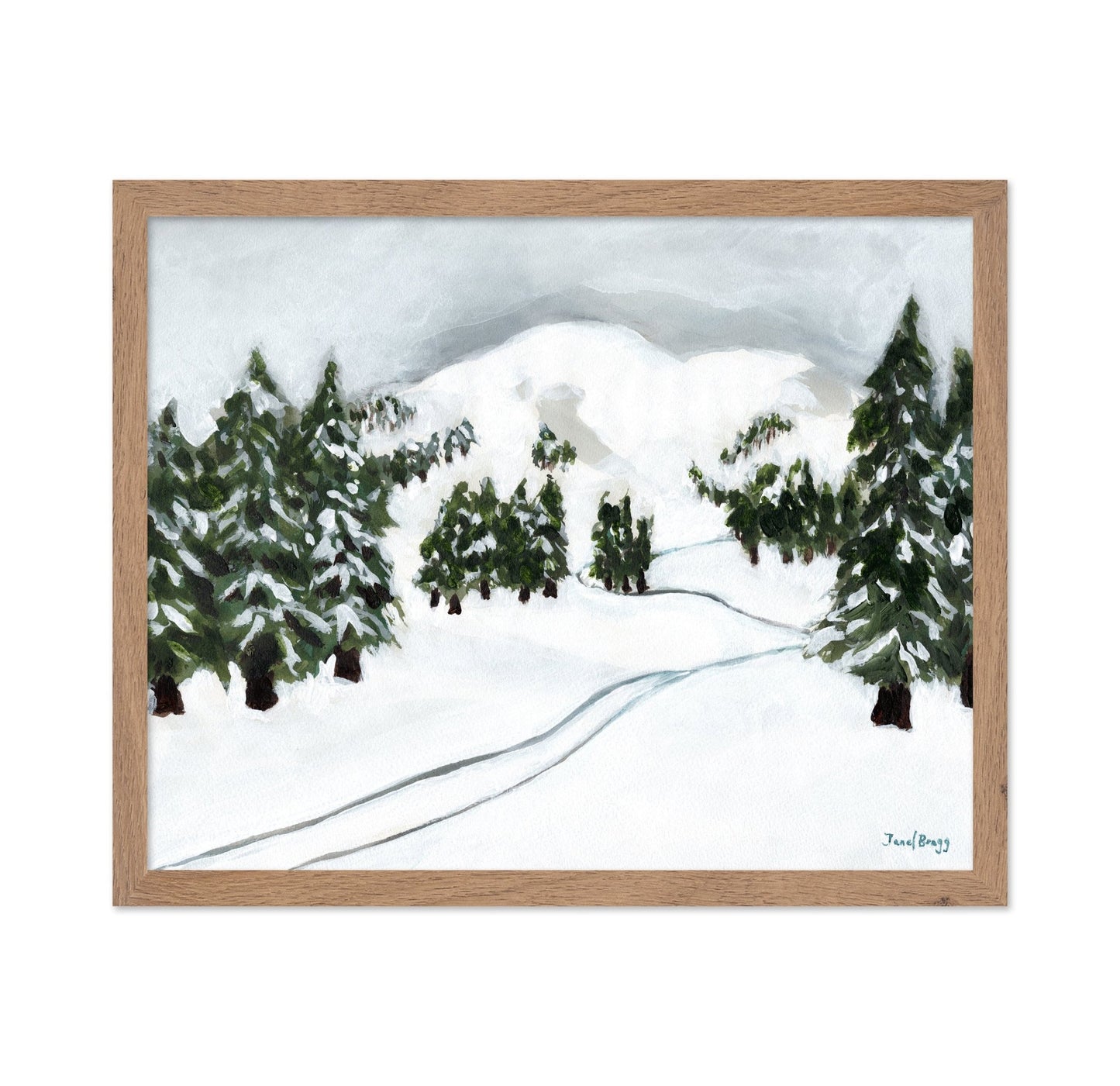 Snowy Ski Trail