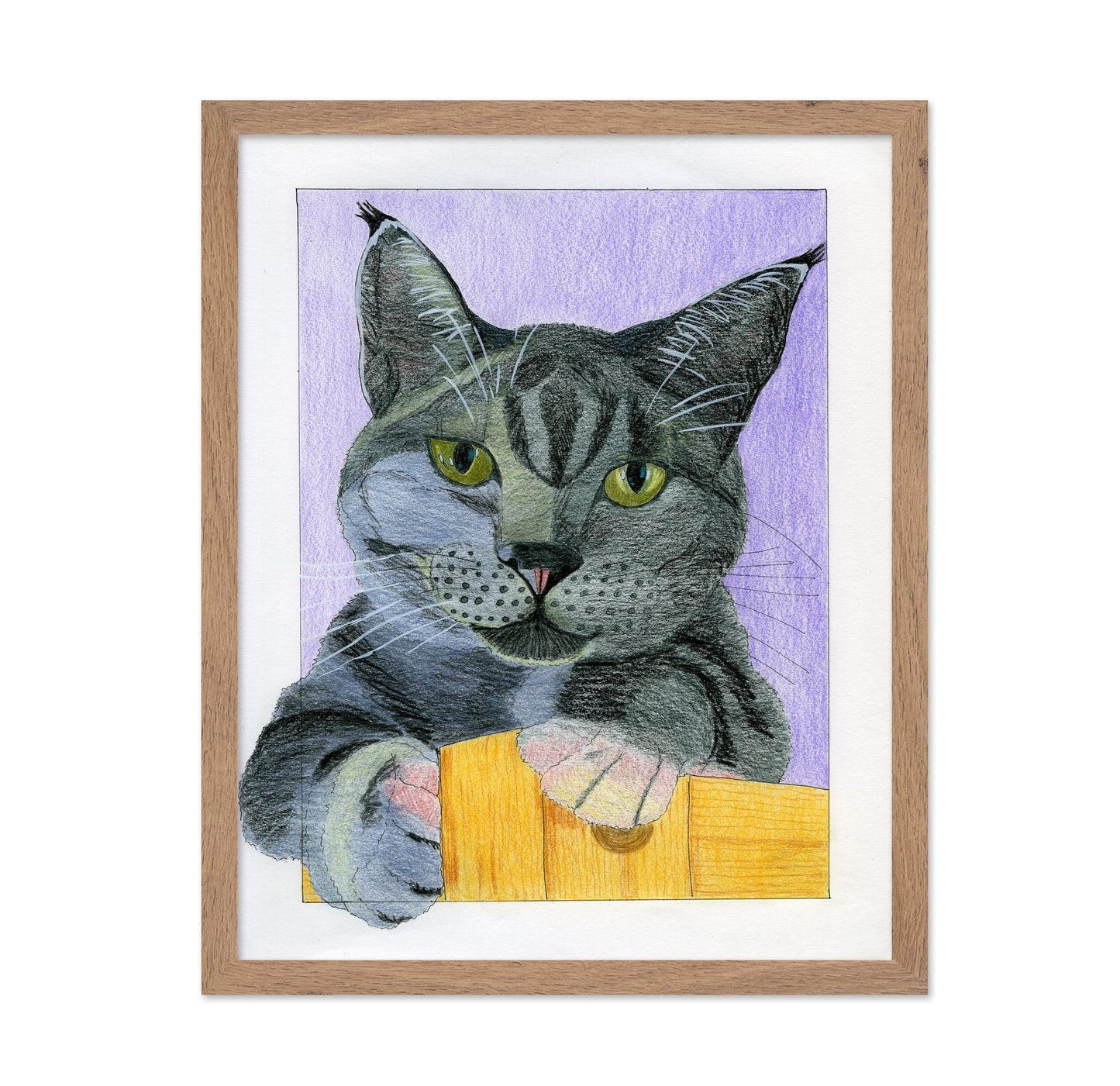 Curious Gray Cat