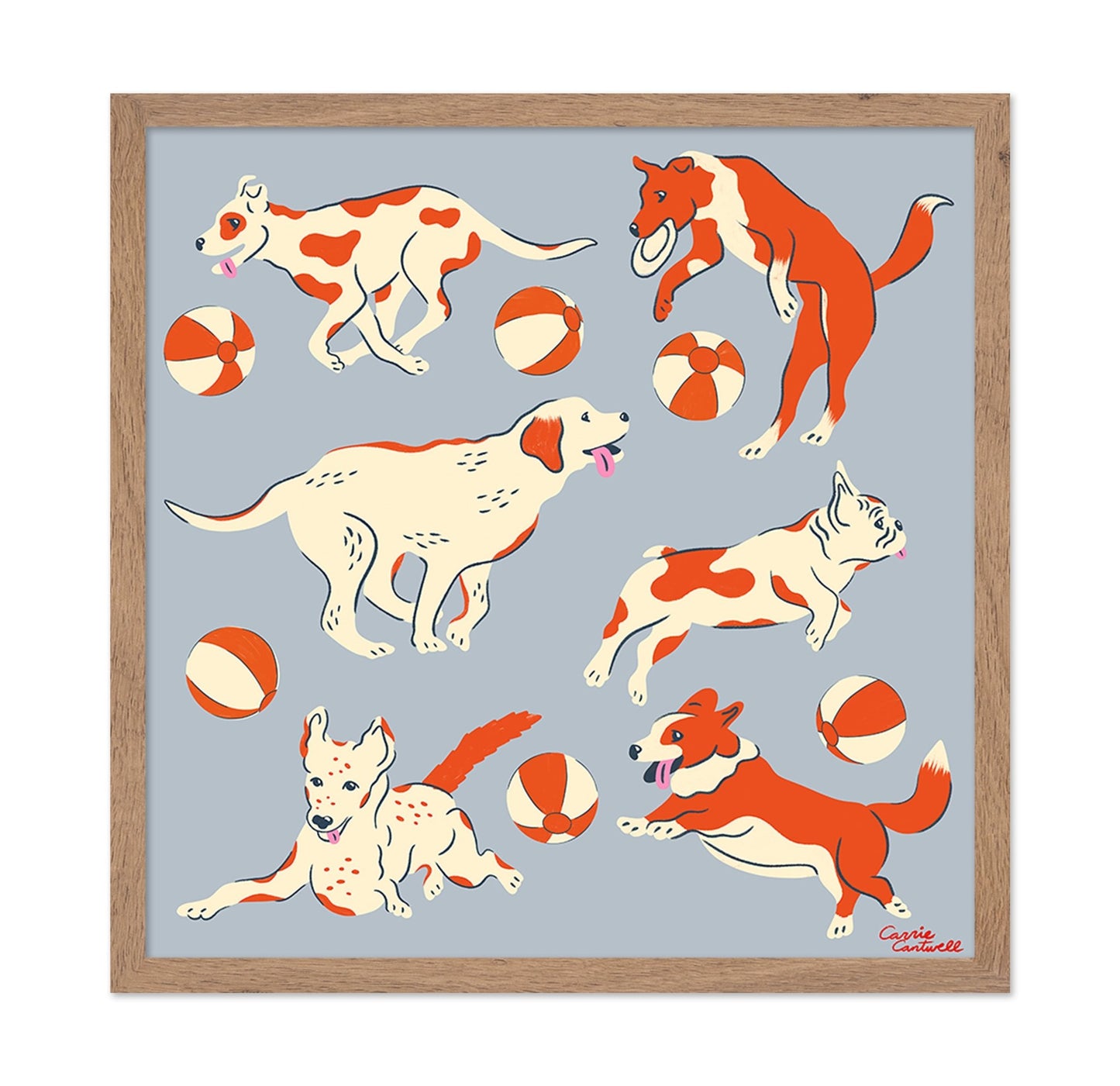 Playful Dogs