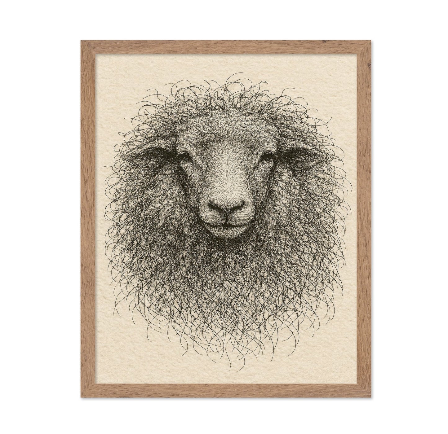 Curly Sheep Portrait