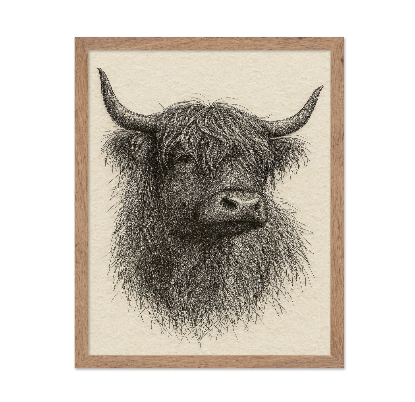 Sketch Highland Cow