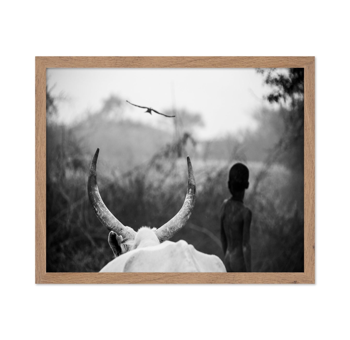 Horns And Boy Silhouette