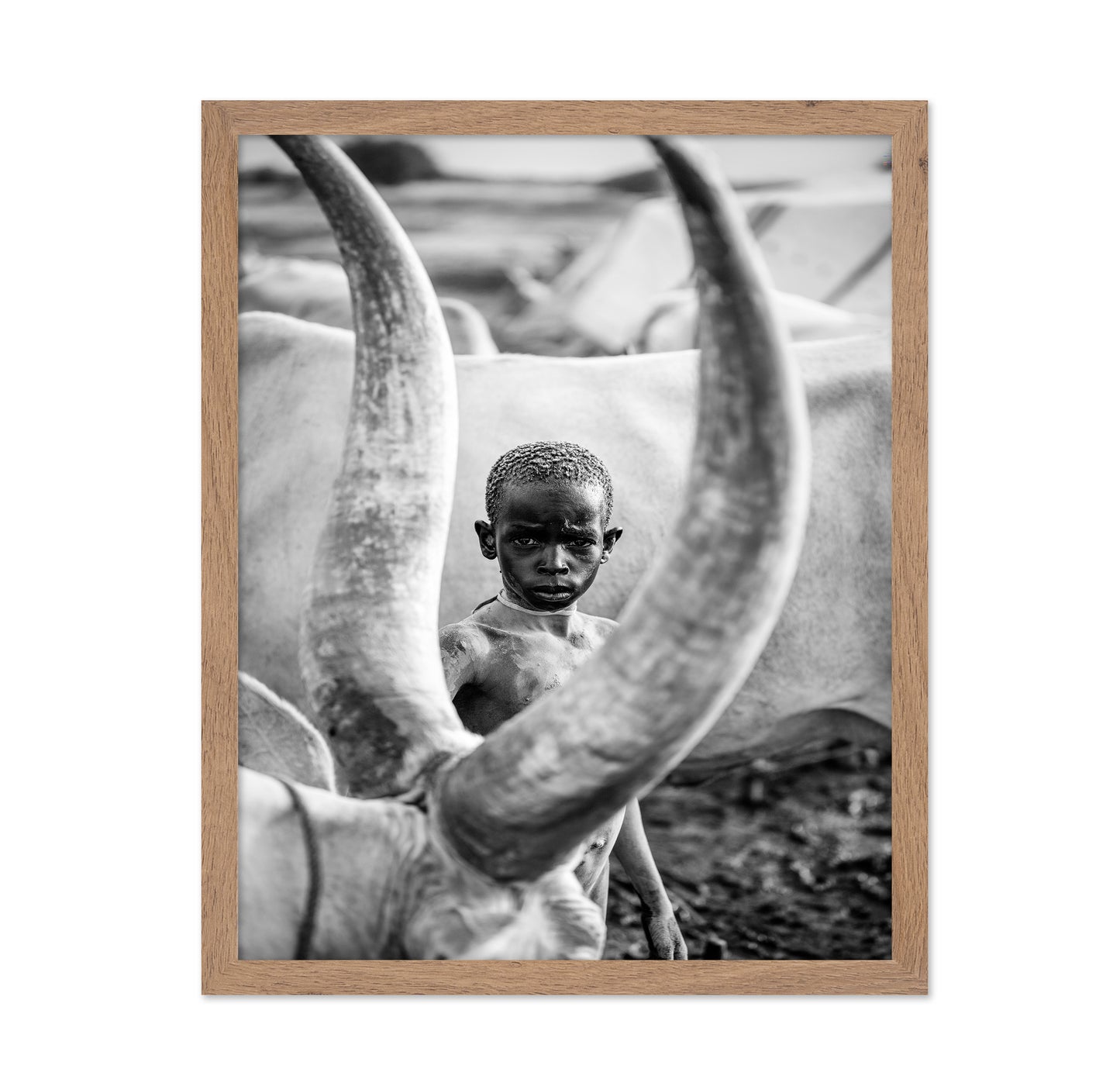 Herd Boy Portrait