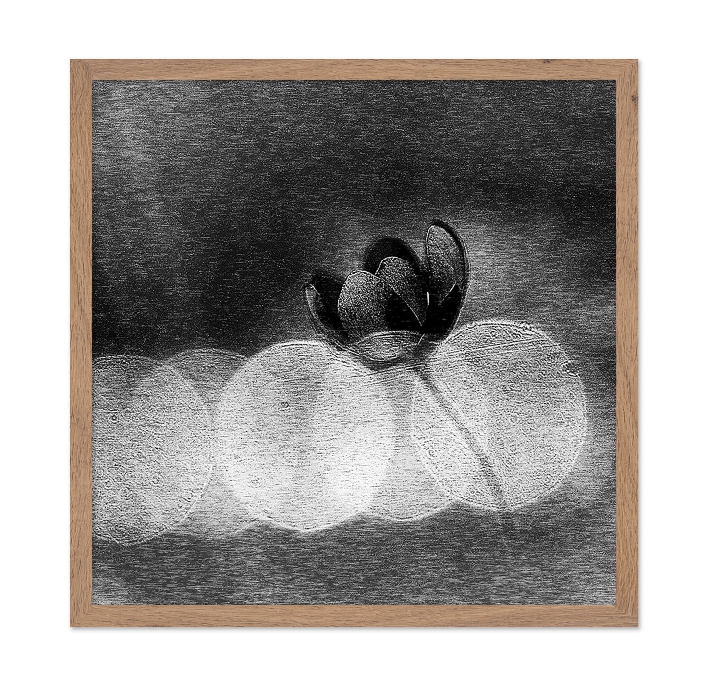 Dark Orchid Bloom