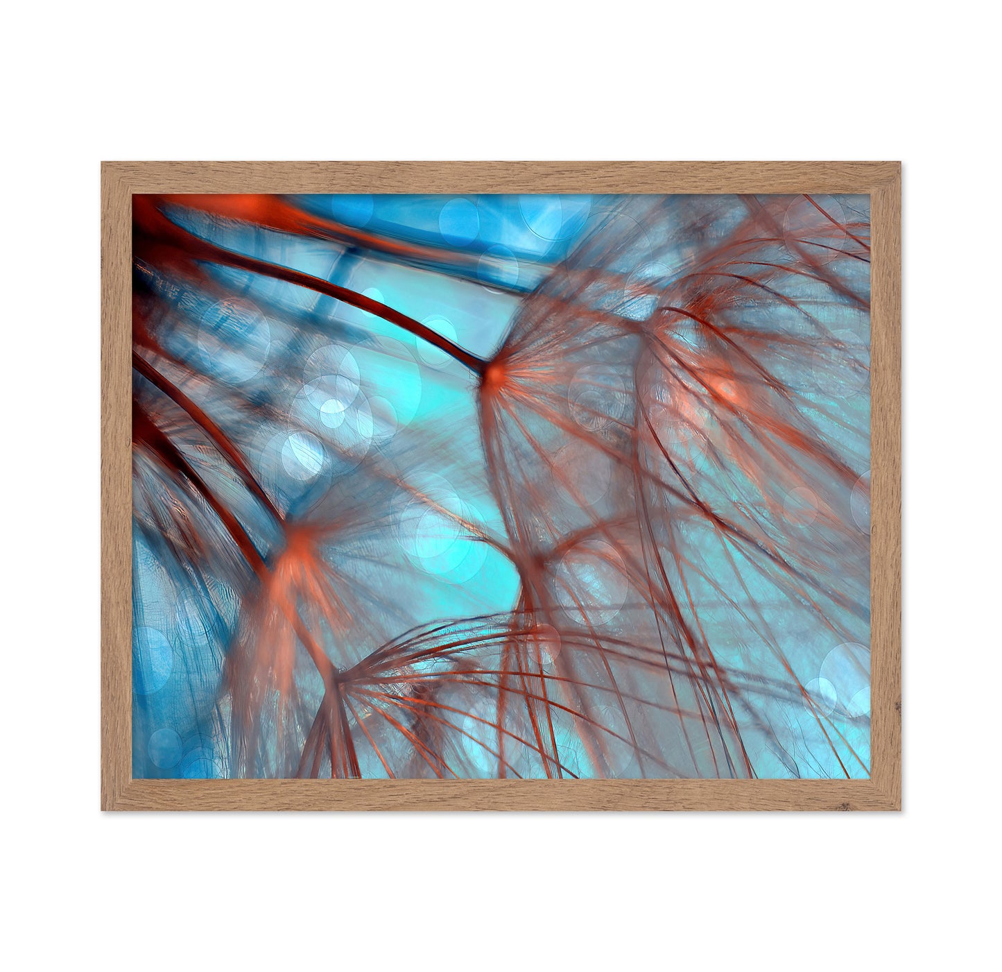 Dream Fiber Bloom