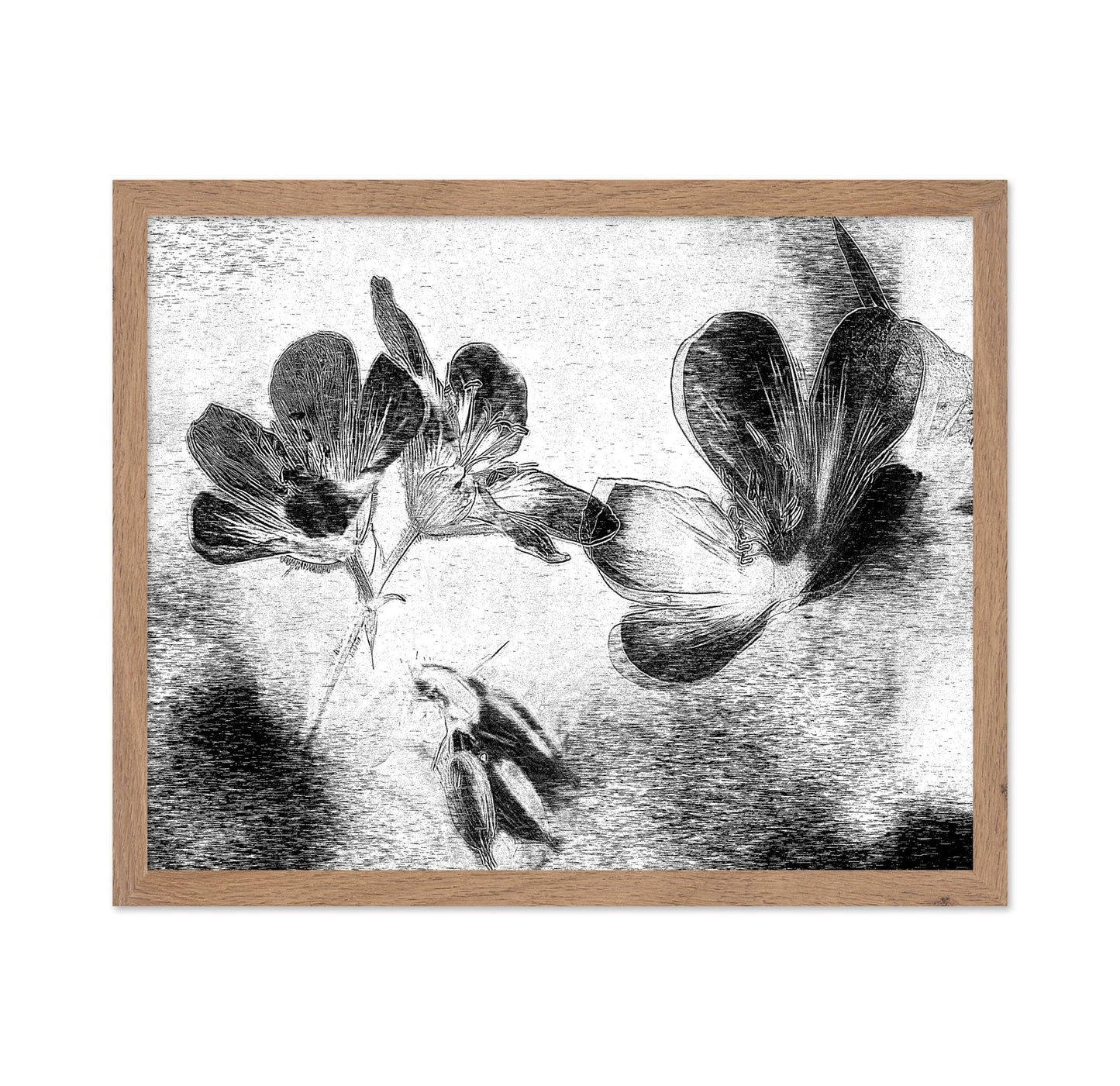 Black White Floral Sketch