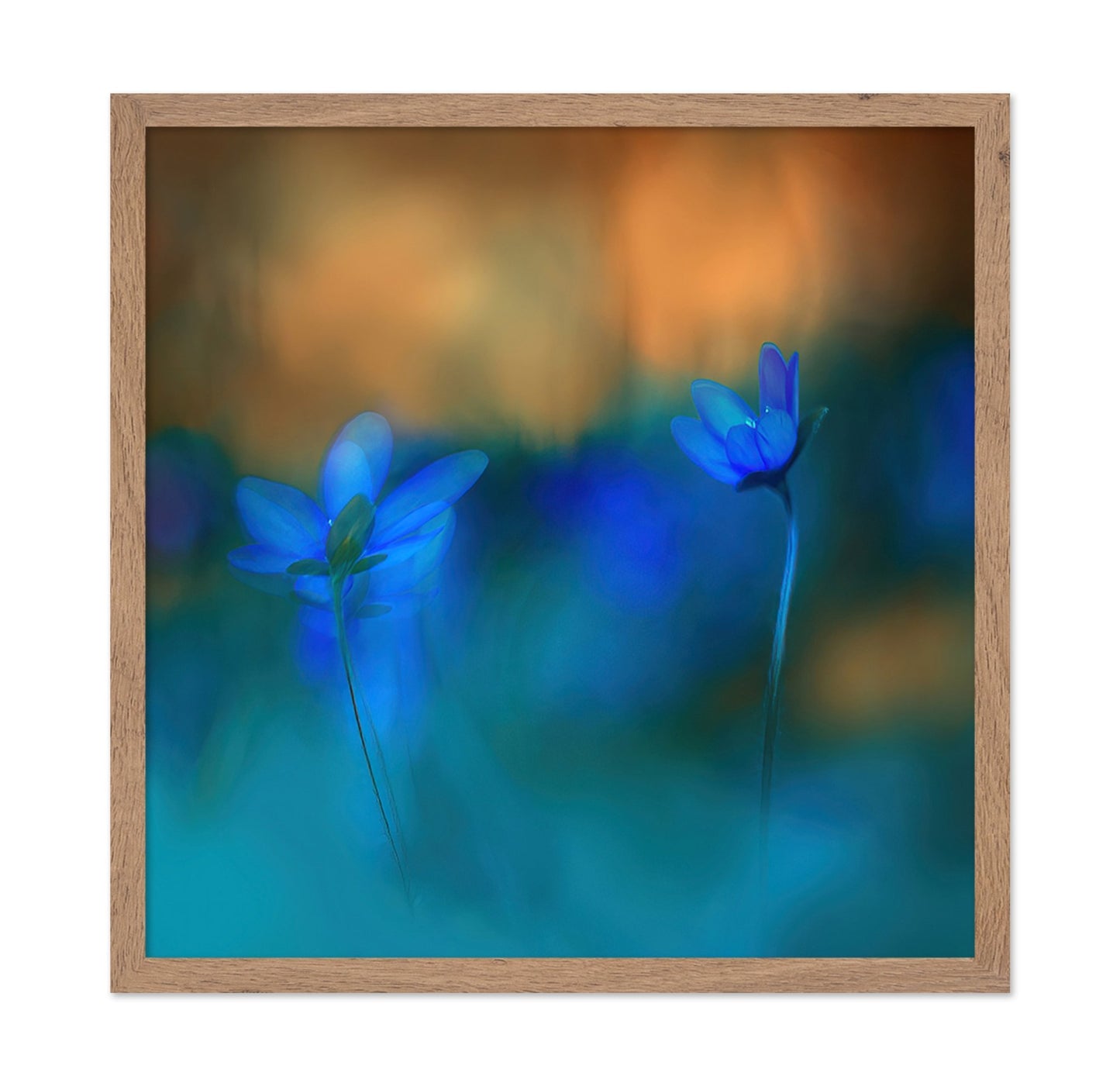 Twin Blue Blossoms
