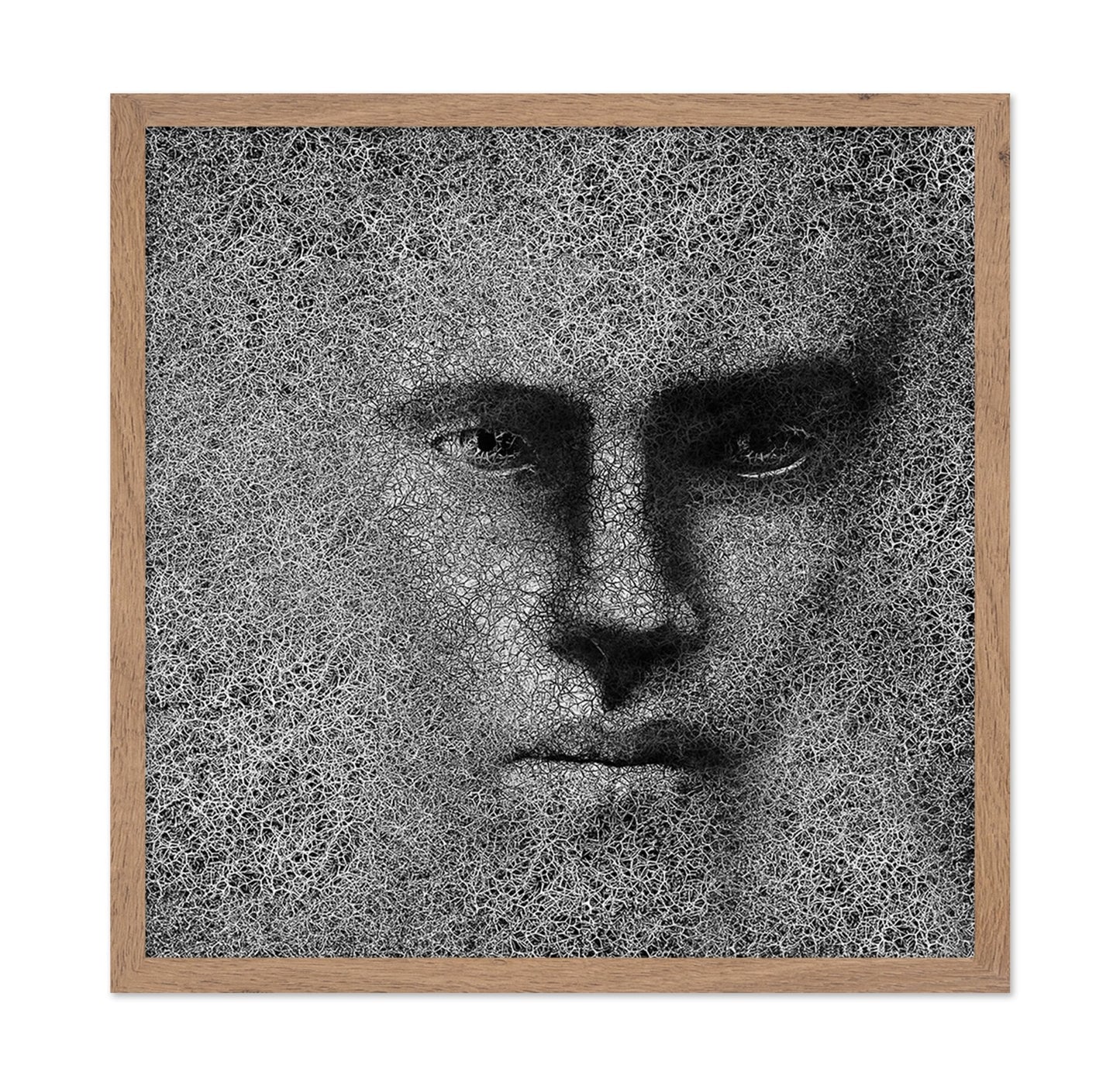 Cracked Shadow Portrait