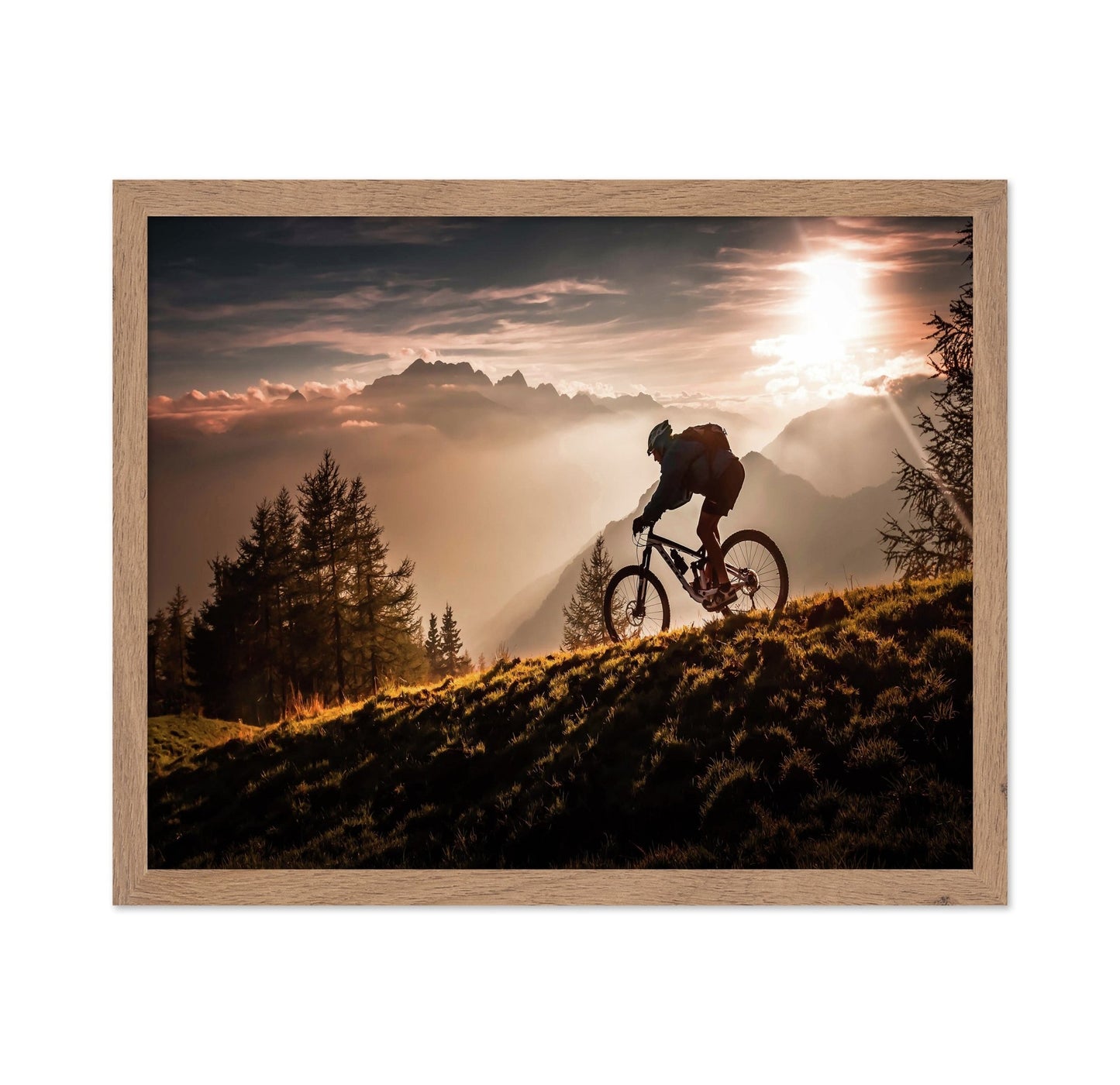 Golden Trail Cyclist