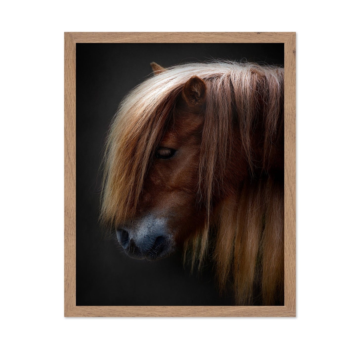 Chestnut Pony Portrait