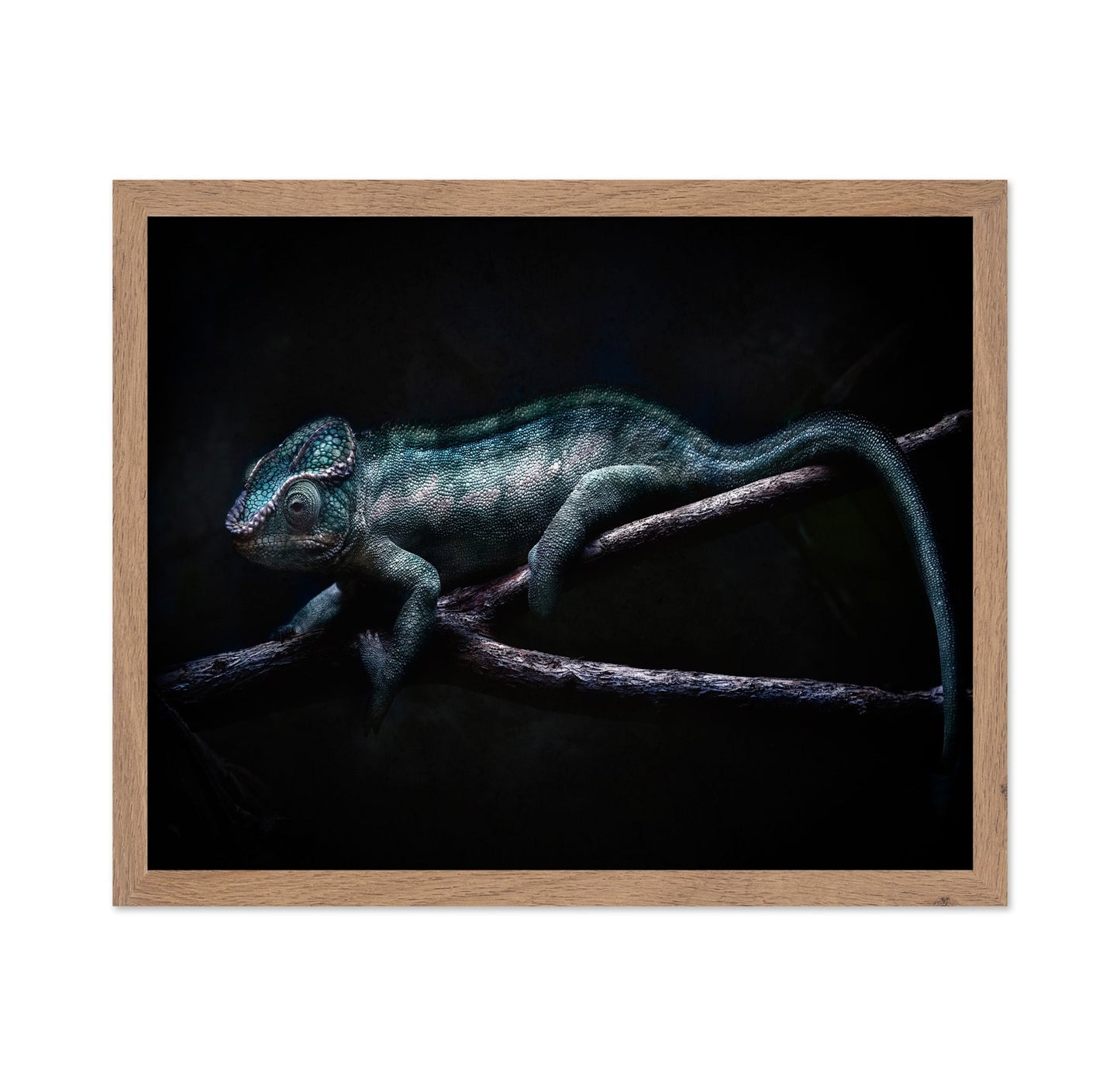Dark Chameleon