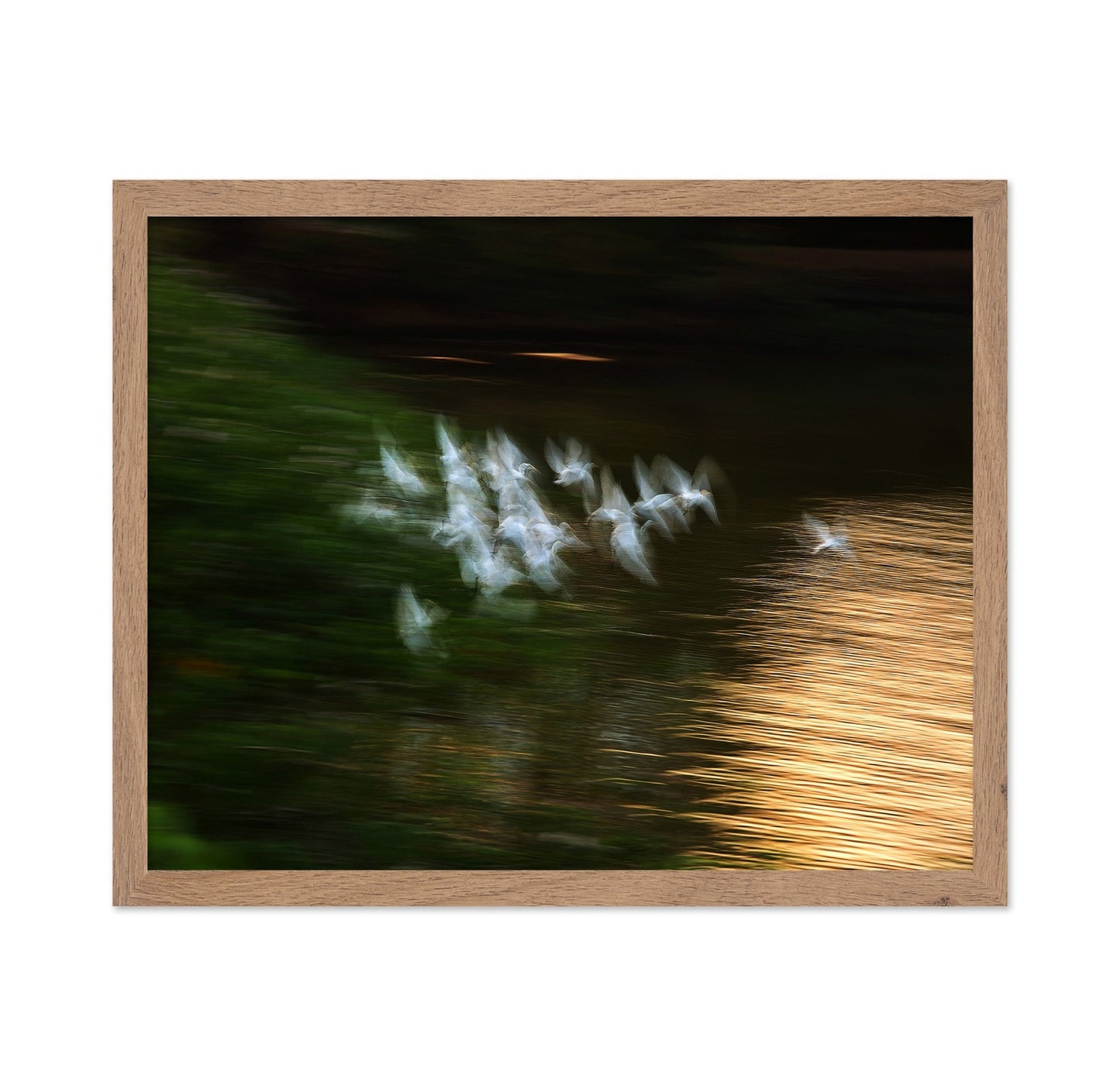 Bird Flight Blur