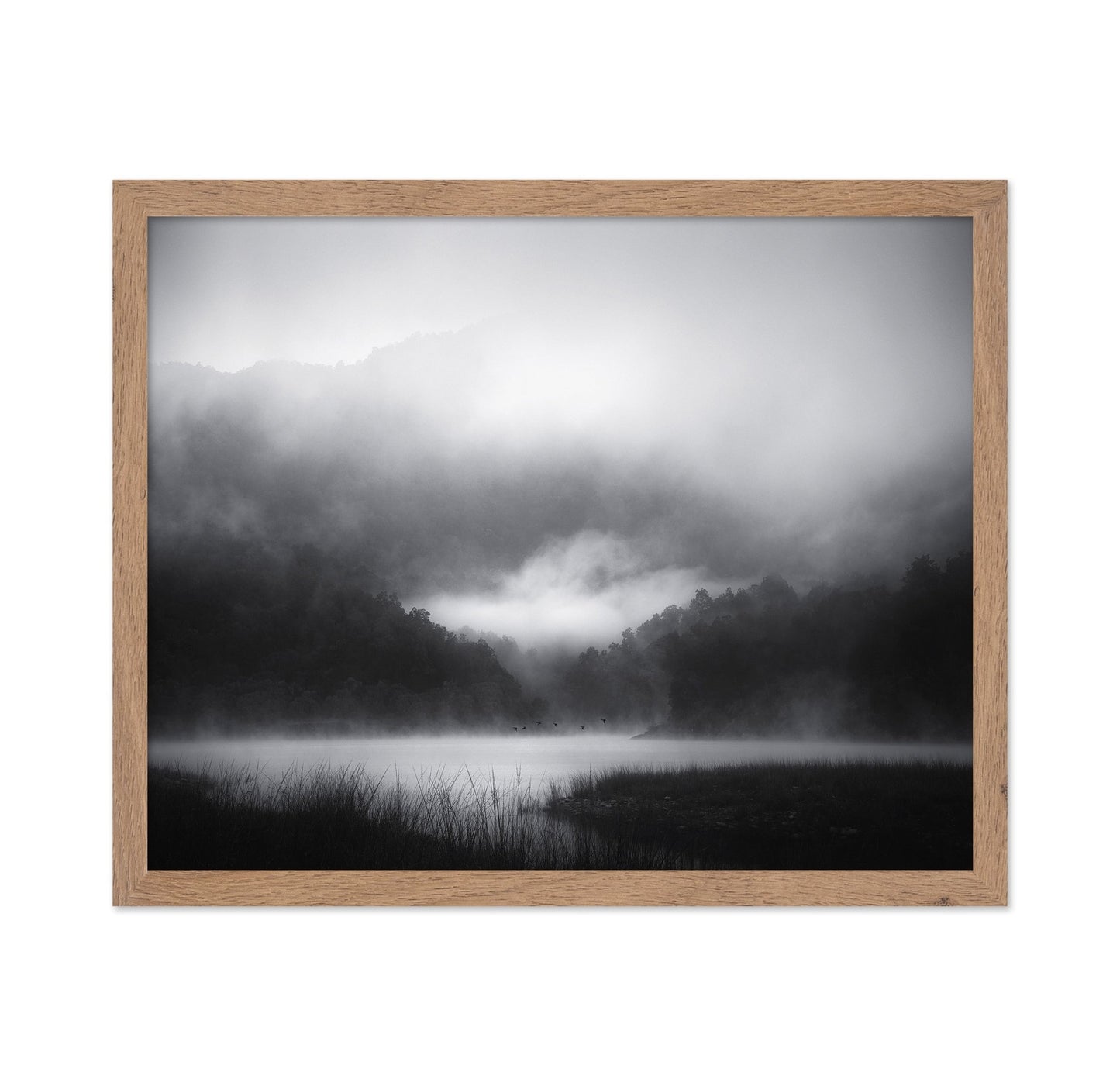 Misty Lake Silence