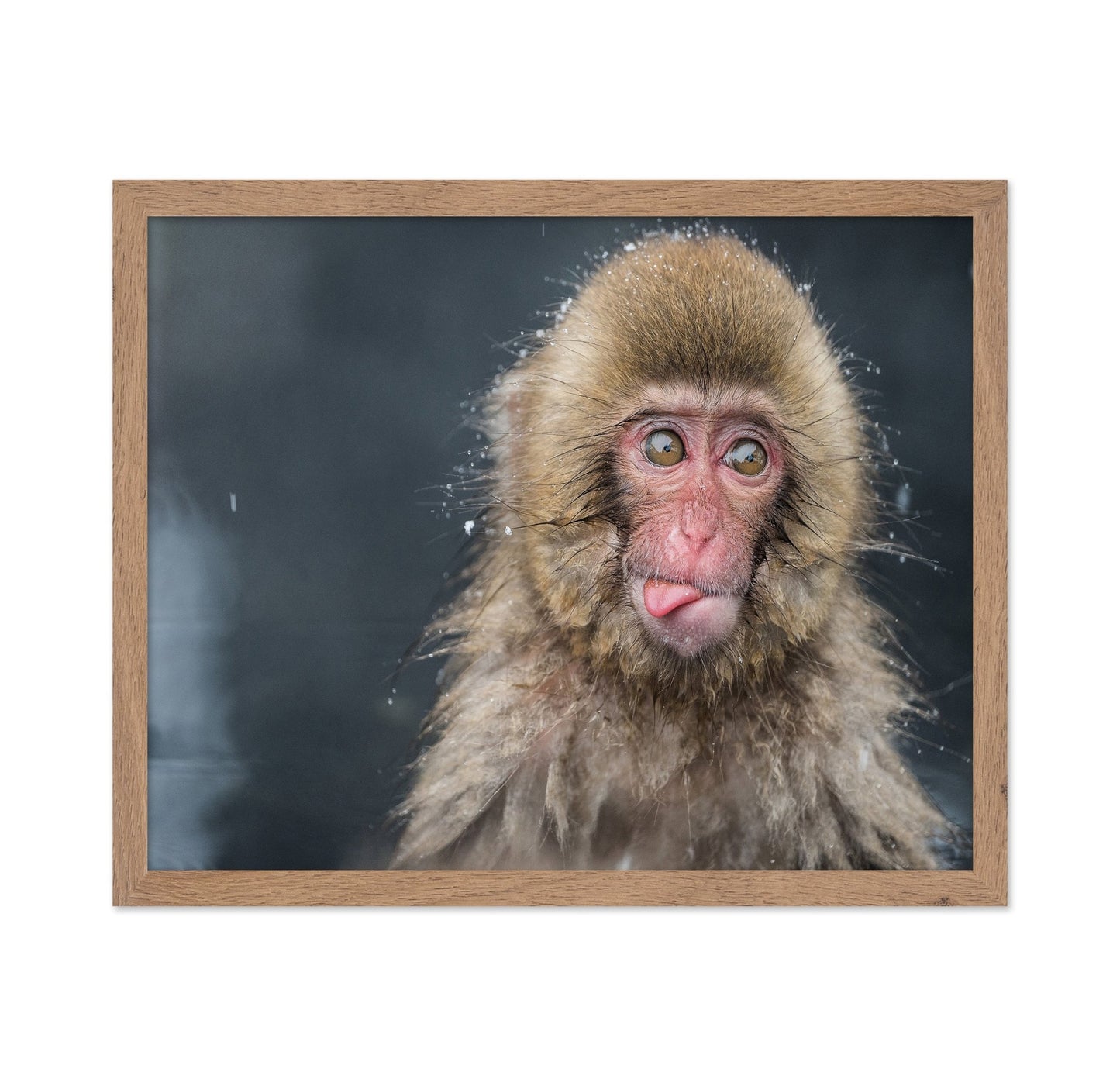 Playful Monkey Face