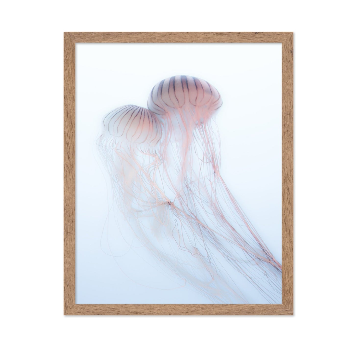 Soft Jelly Drift
