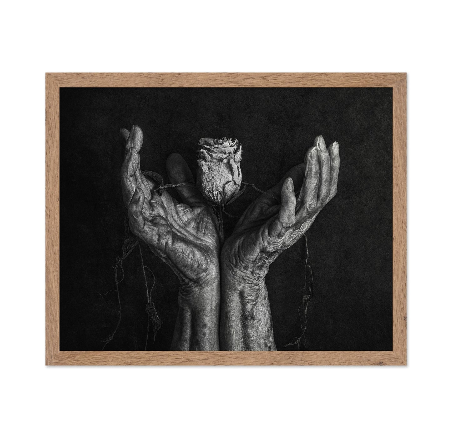Aged Hands With Rose