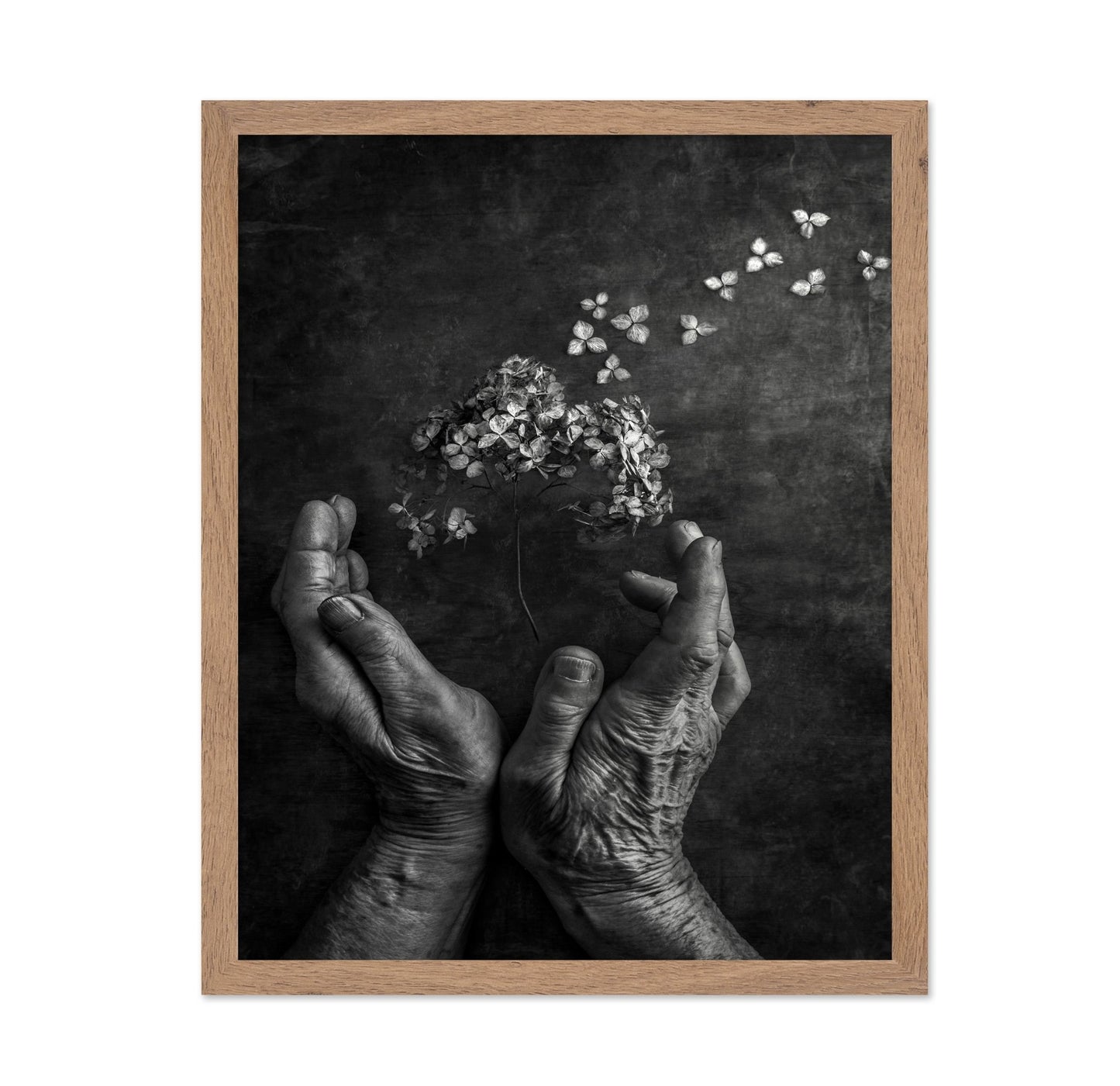 Gentle Bloom Release