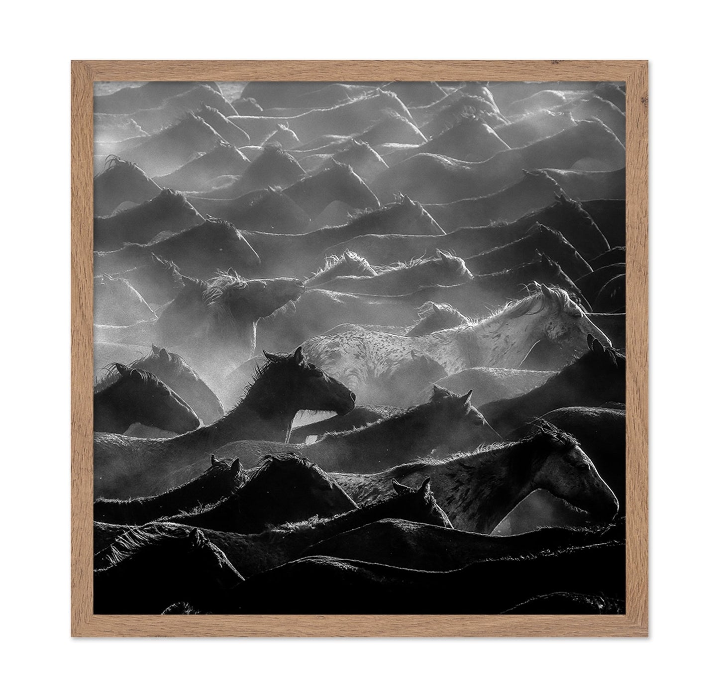 Wild Herd Layers