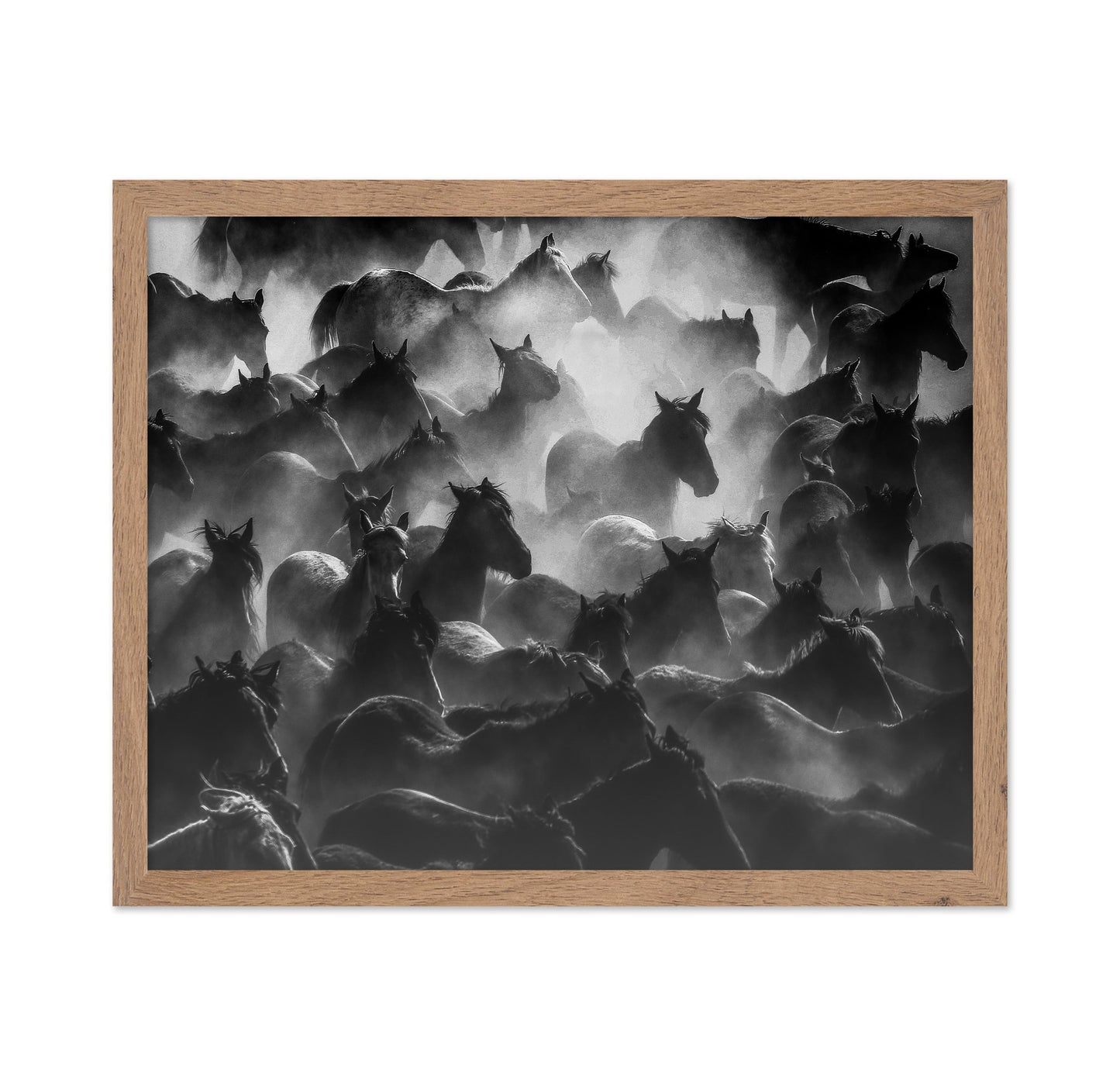 Wild Herd Mist