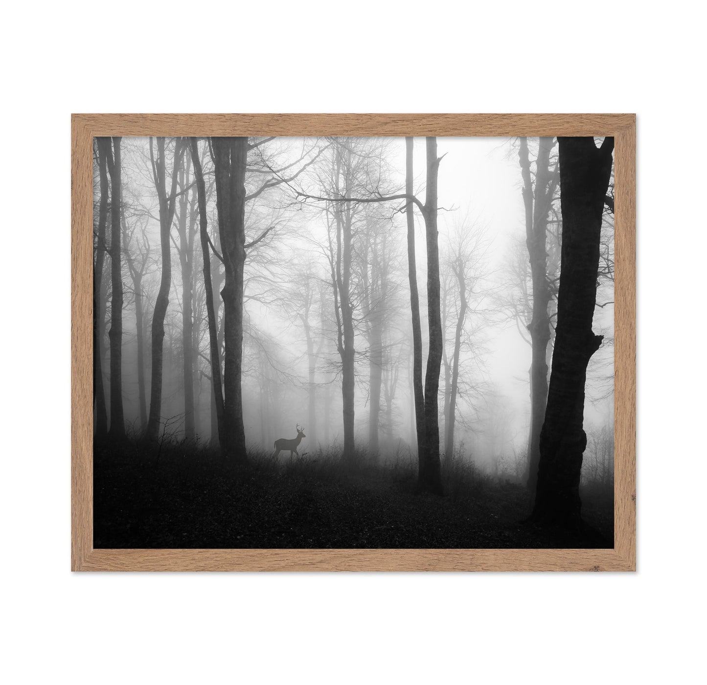 Misty Forest Deer