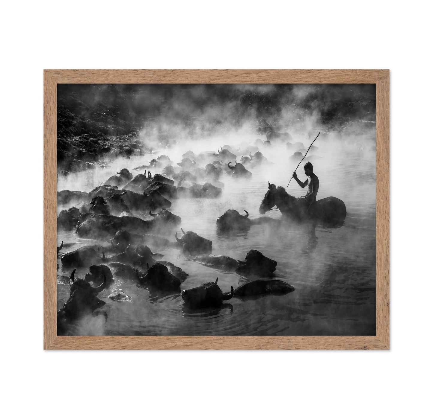 Buffalo River Herd