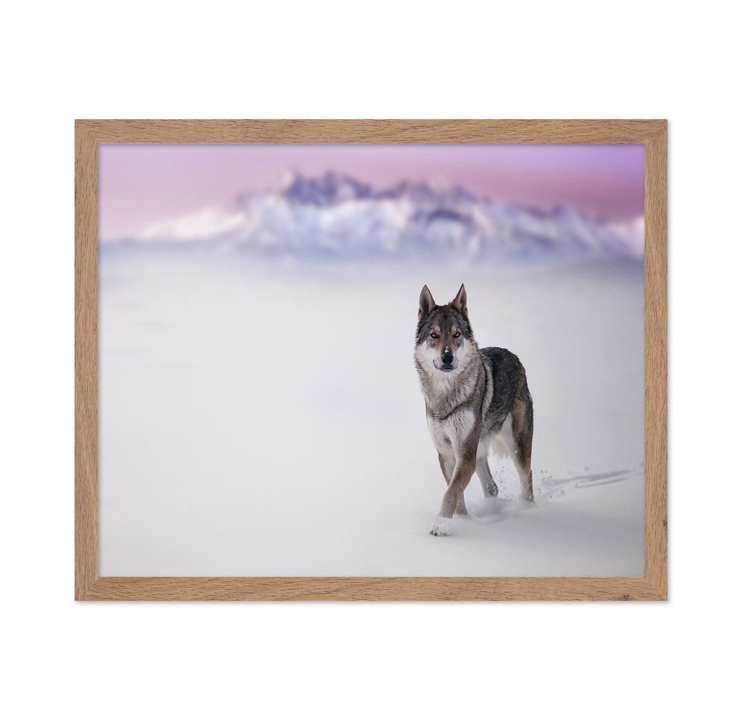 Snow Wolf Walk