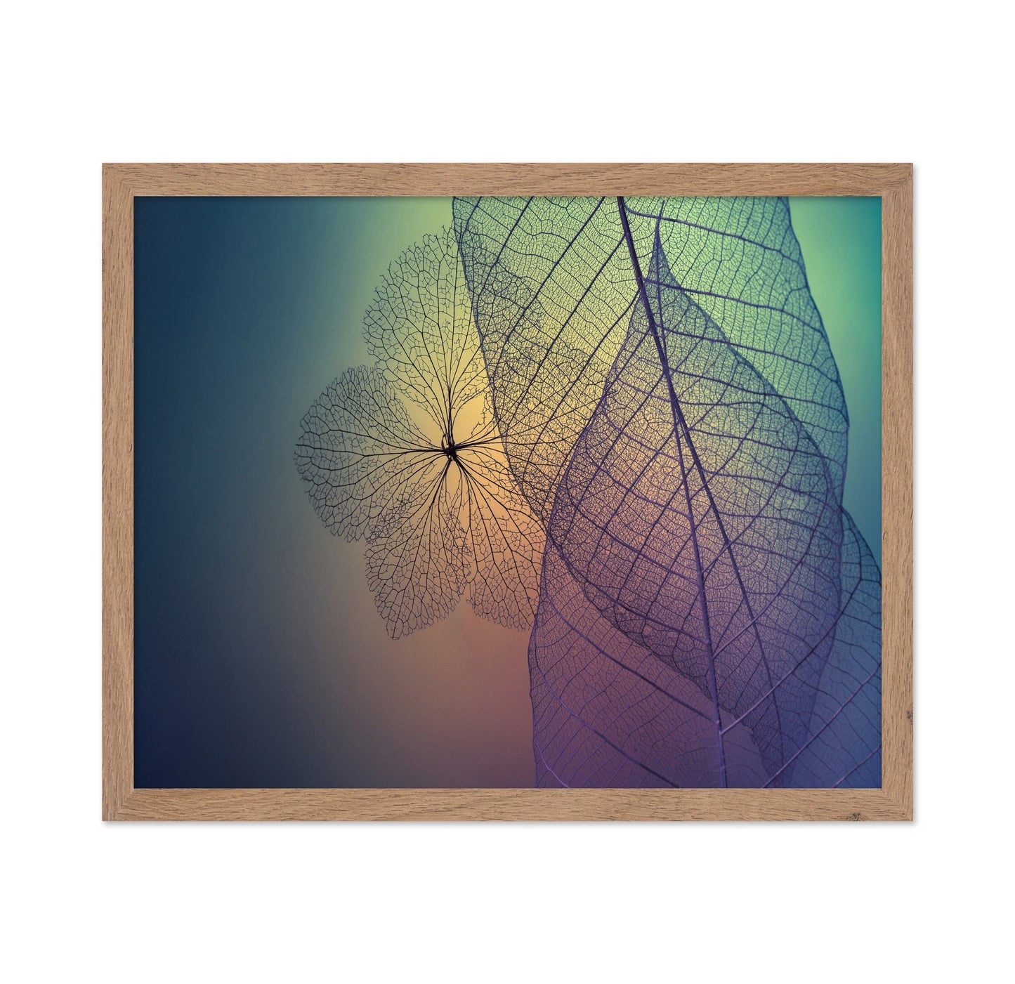 Color Vein Leaves