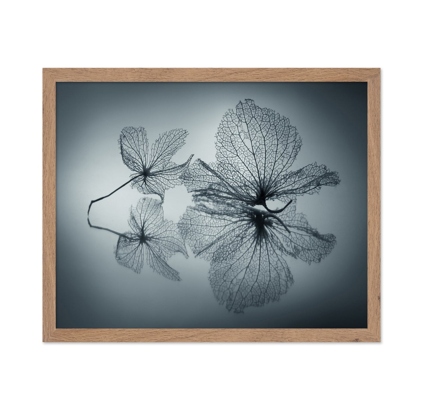 Floating Leaf Forms