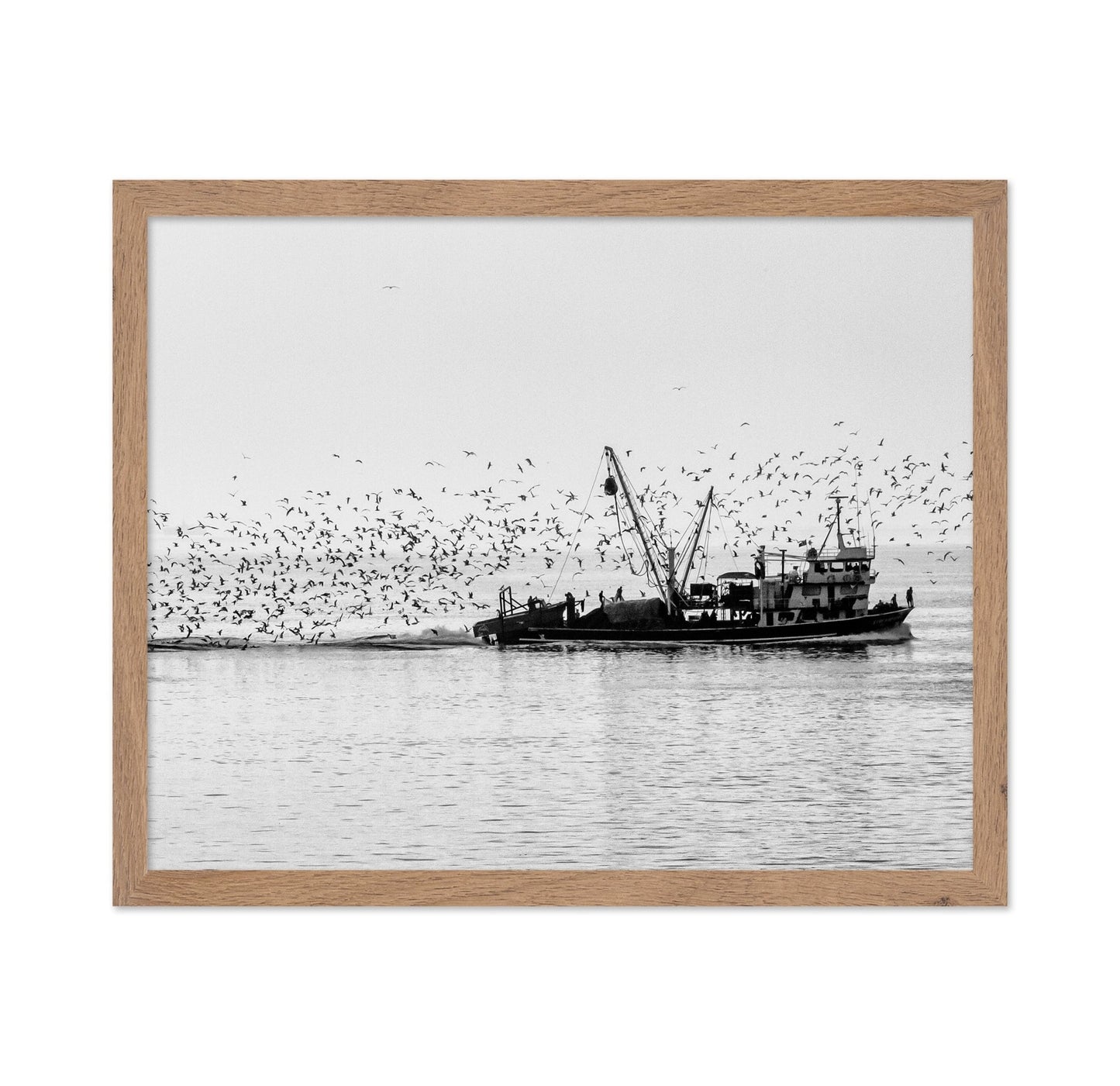 Fishing Boat Flock