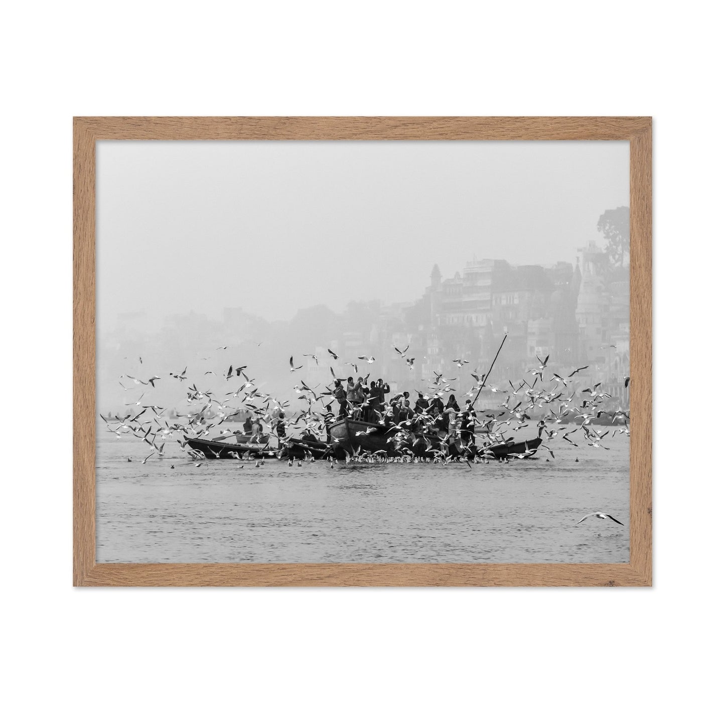 River Birds Gathering