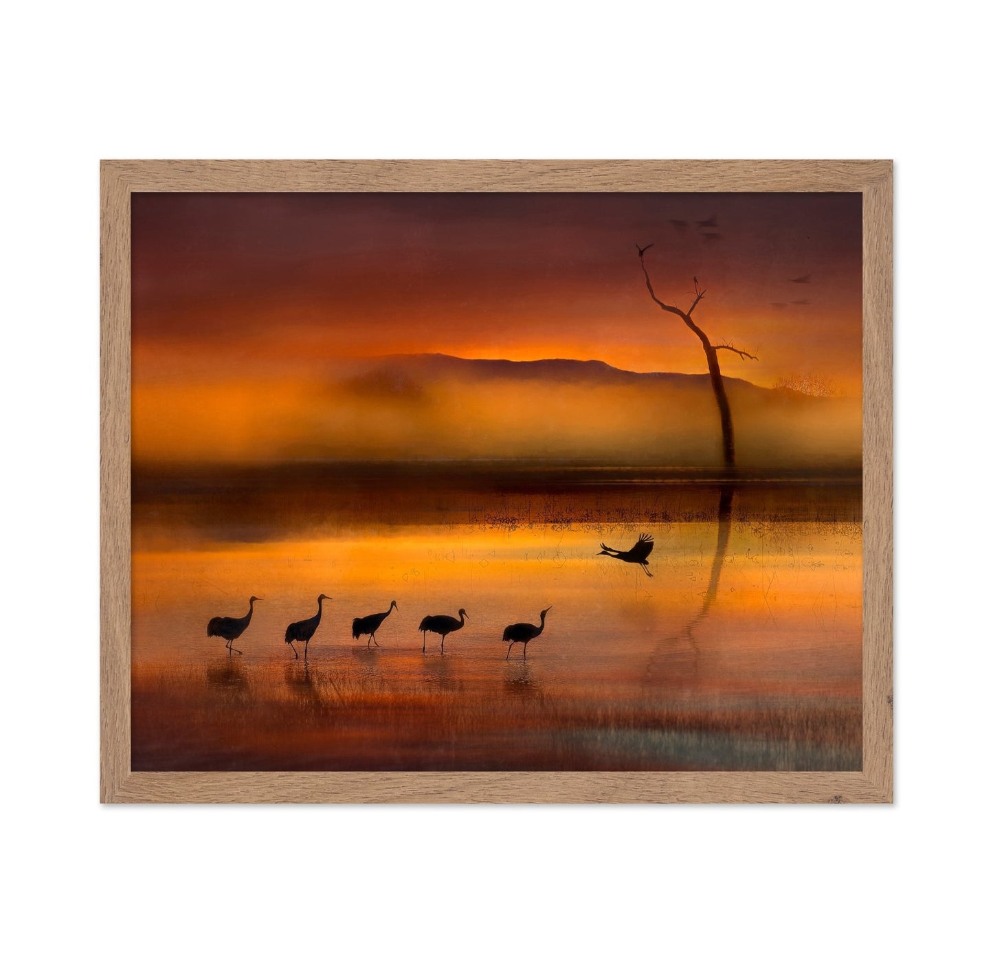 Crane Sunset Reflections