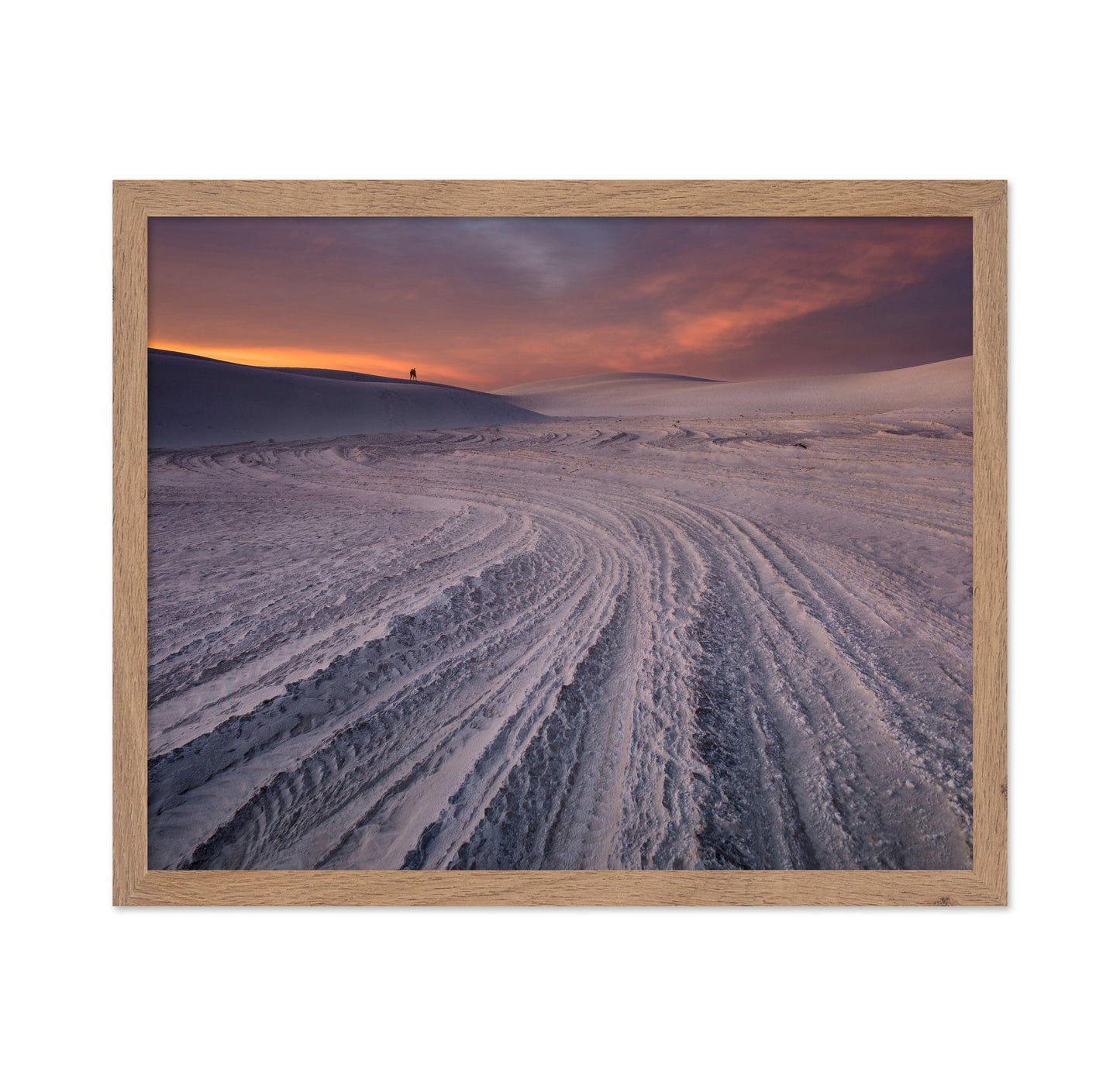 Desert Tracks Sunset