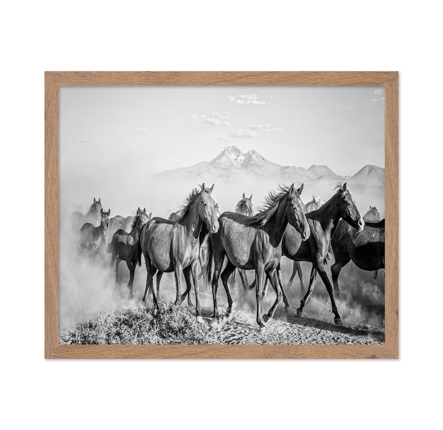 Wild Horses In Motion