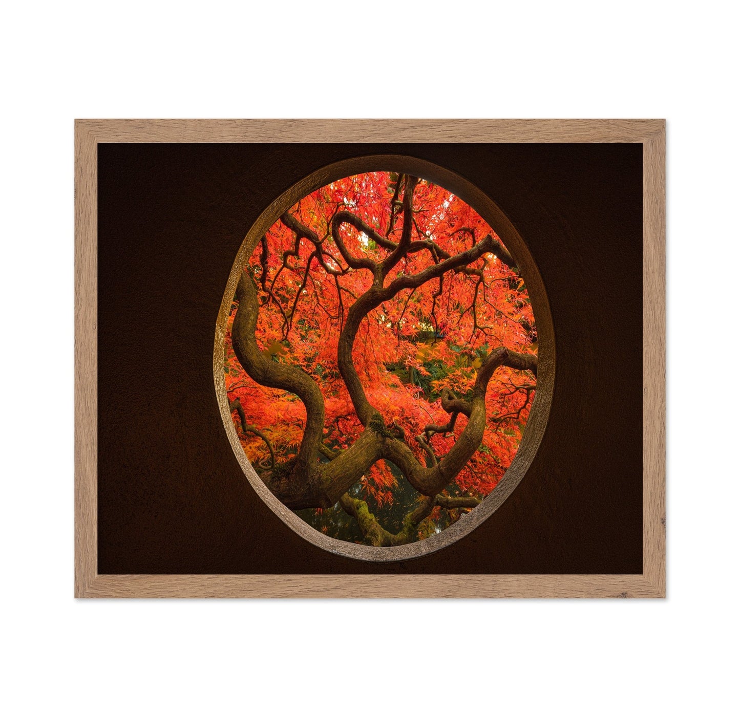 Autumn Window Tree