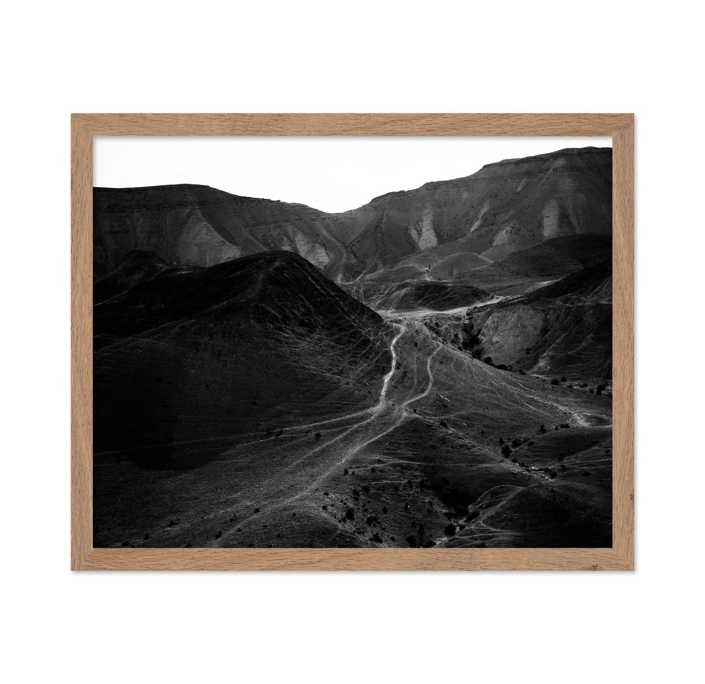 Desert Path Lines