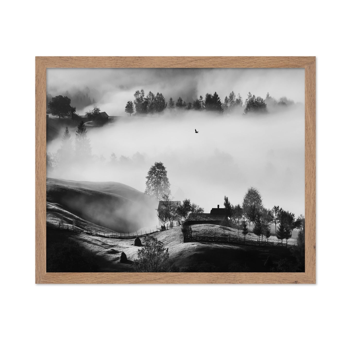 Misty Hills Flight
