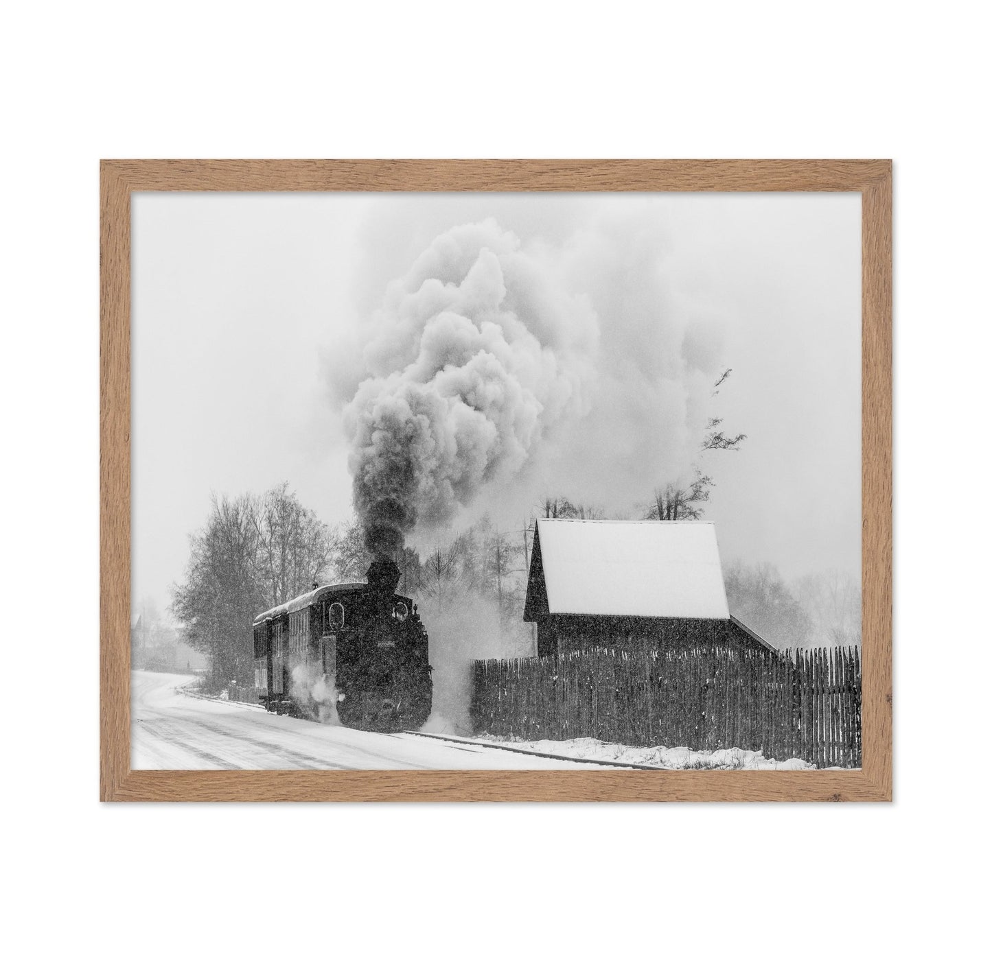 Steam Train Snow