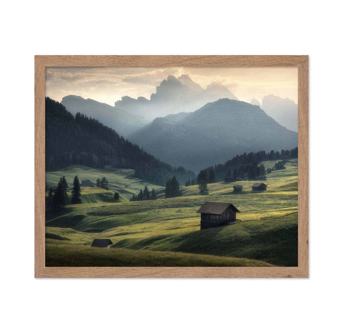 Misty Mountain Meadow