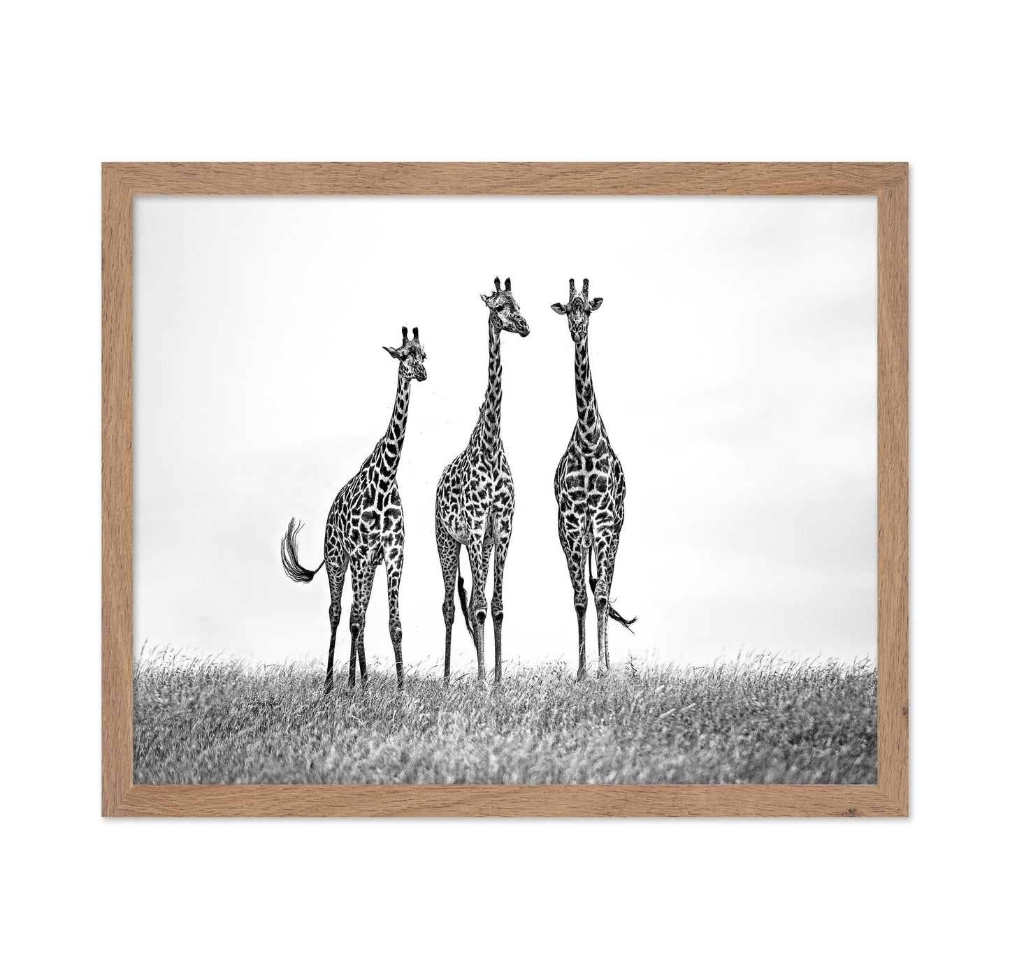Giraffe Trio Stand