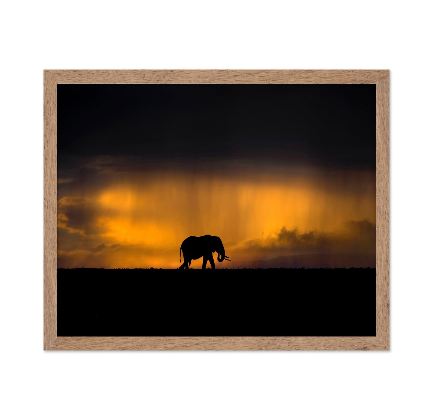Elephant Sunset Silhouette No1