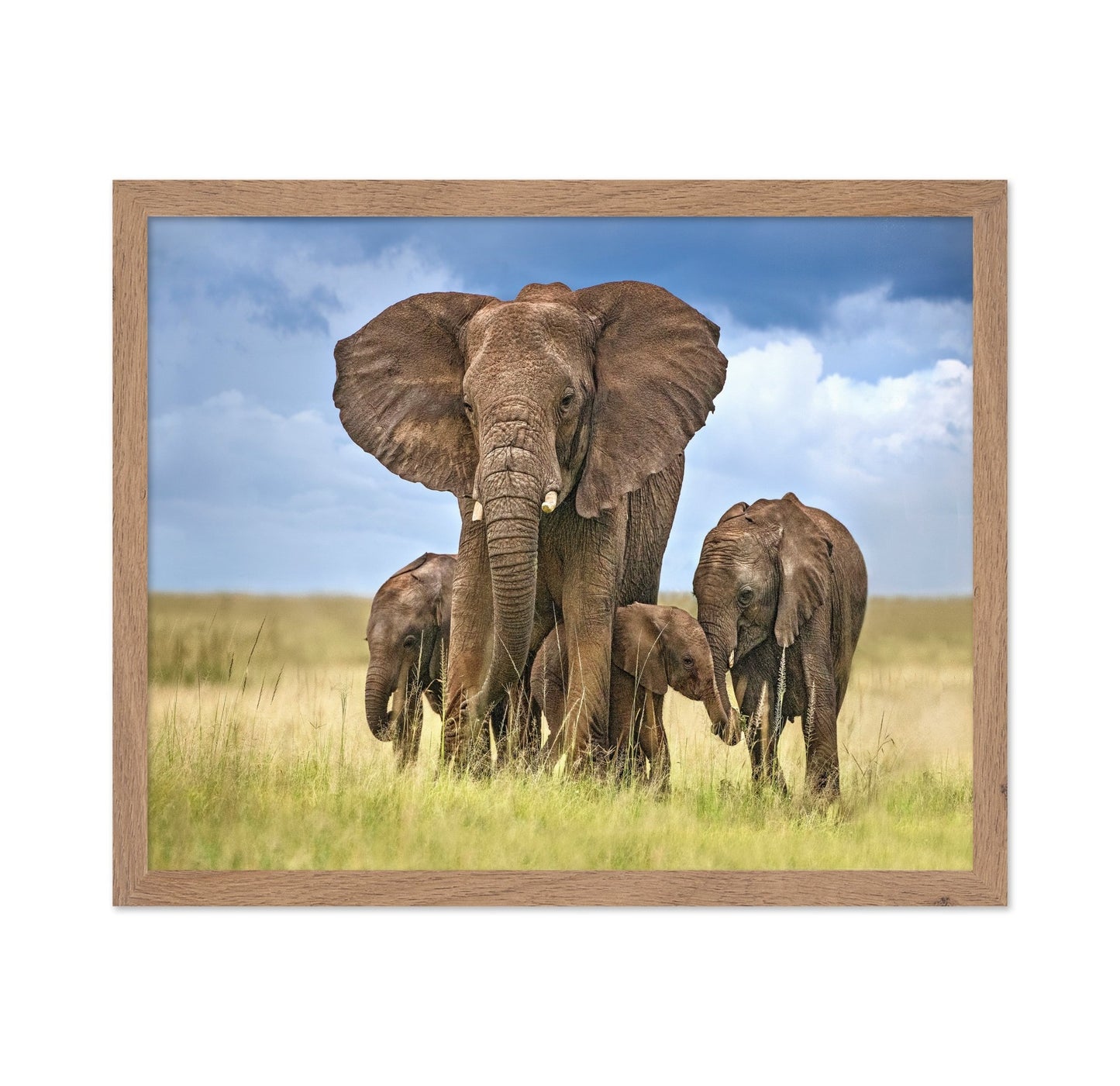 Elephant Family March